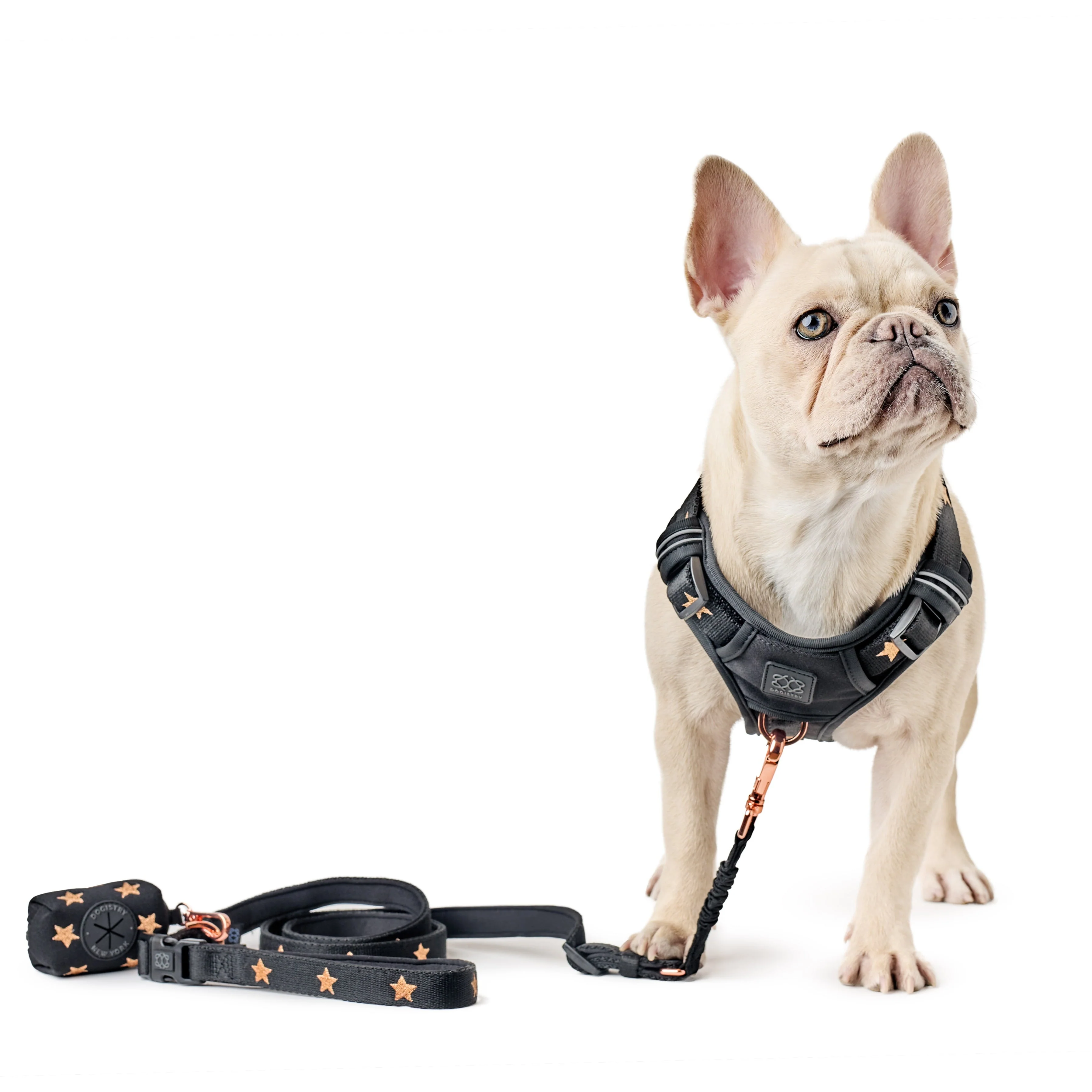 Poop Bag Holder - Rockstar - Image 4