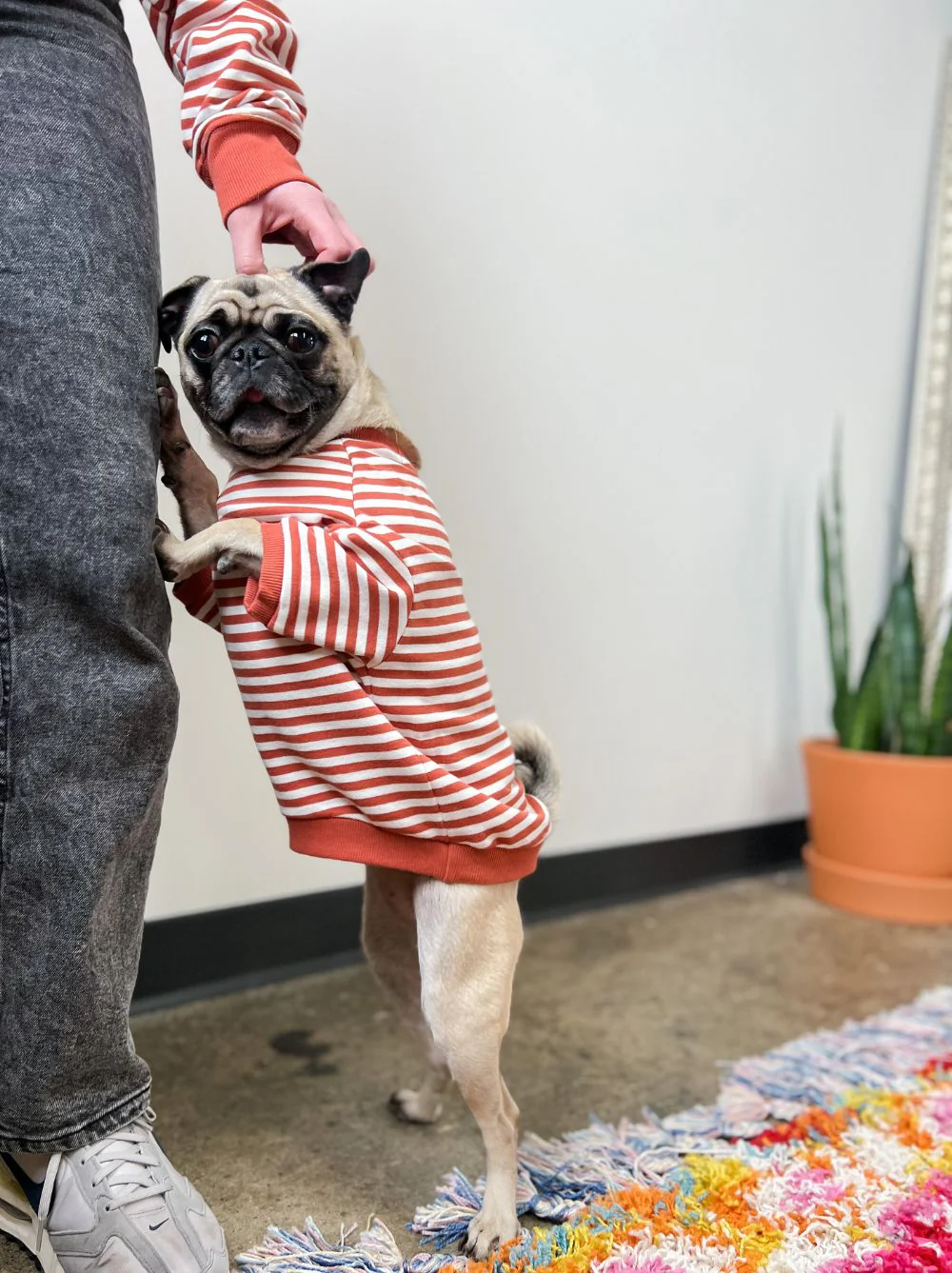 Poppy Pullover - Image 8