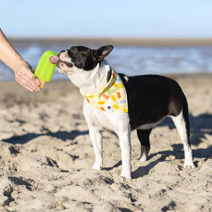 Popsicle Dog Bandana - Image 6