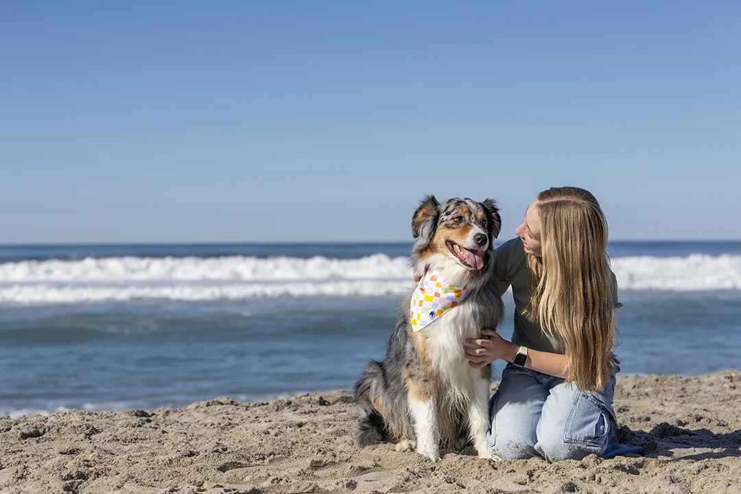 Popsicle Dog Bandana - Image 7