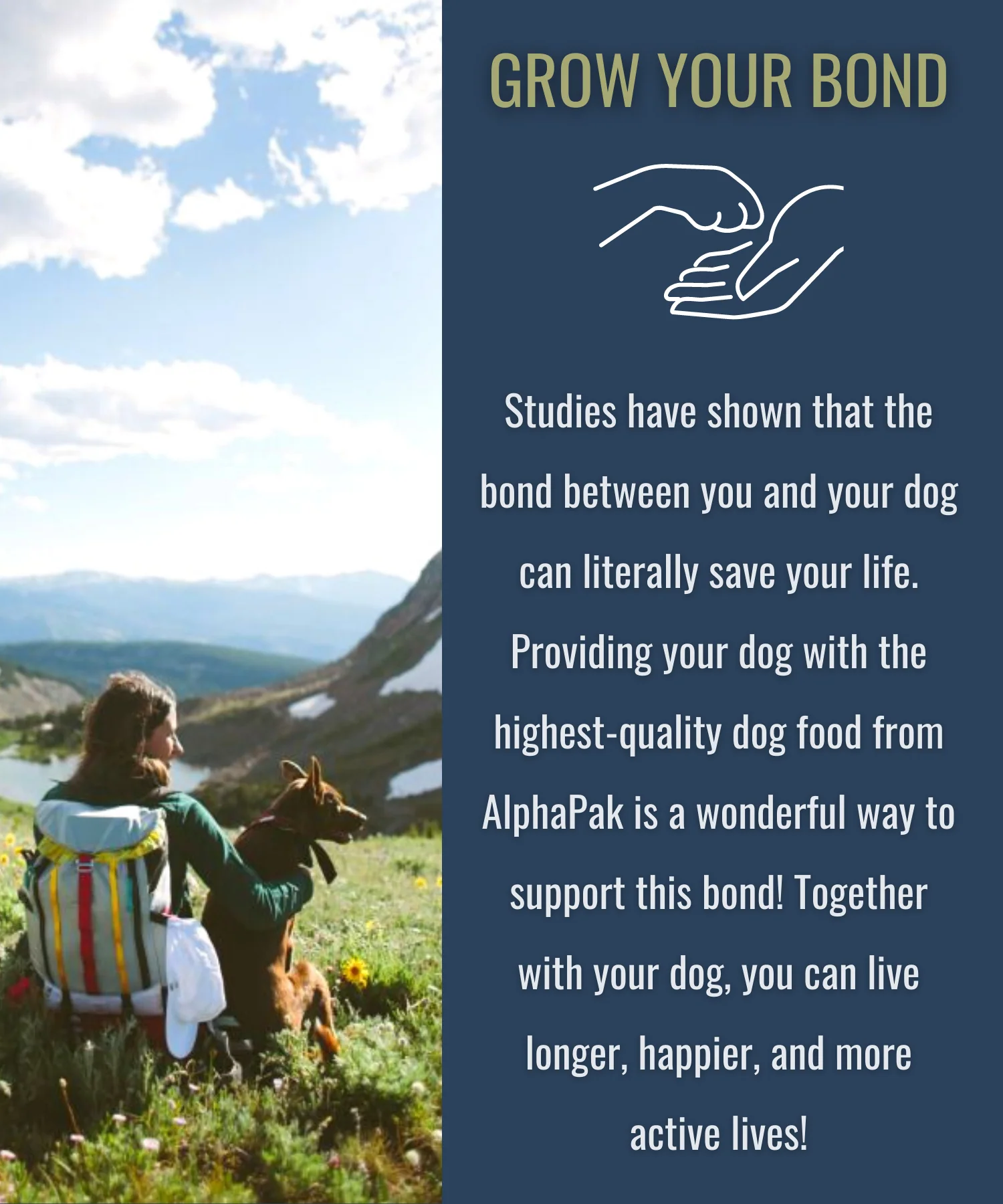 PREMIUM RAW FREEZE DRIED DOG FOOD BEEF - Image 10