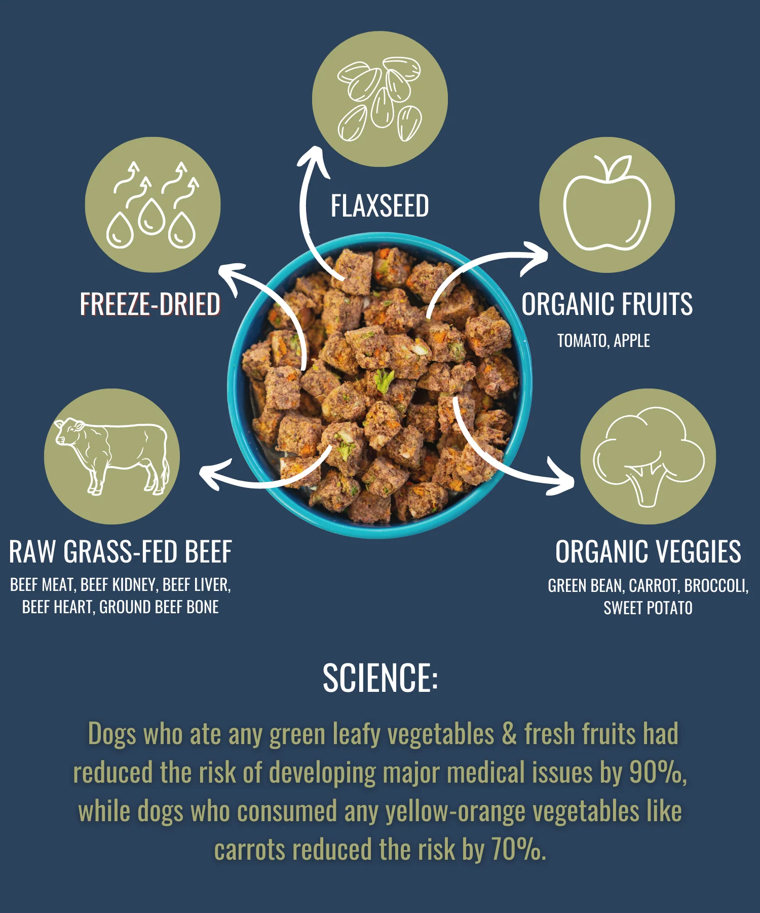 PREMIUM RAW FREEZE DRIED DOG FOOD BEEF - Image 9