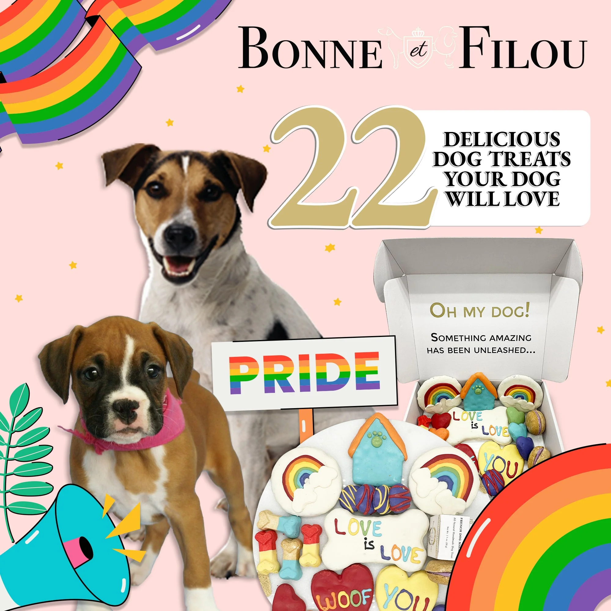 Pride Themed Dog Treats Gift Box - Image 6
