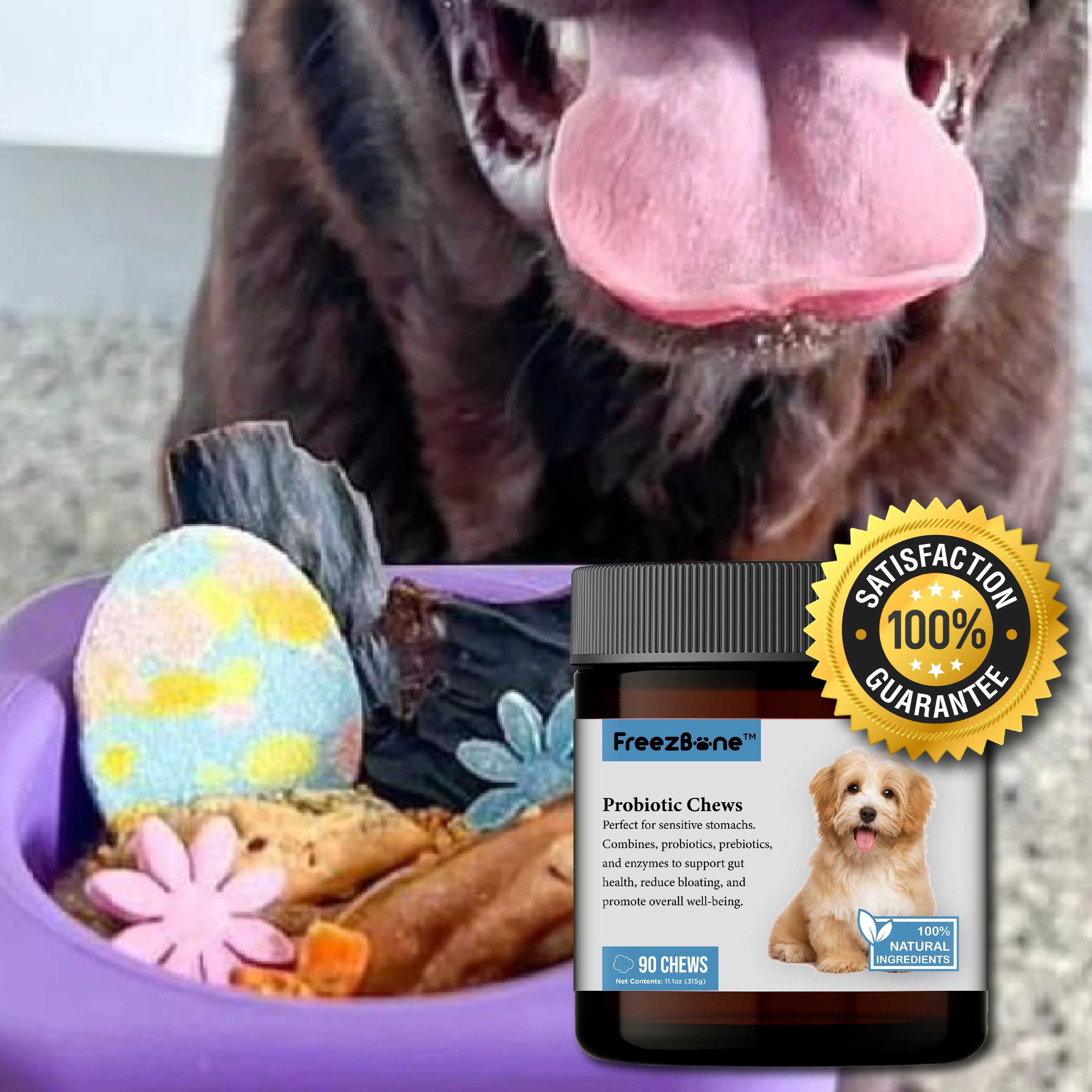 Probiotic Chews (90 Chews) - Image 4