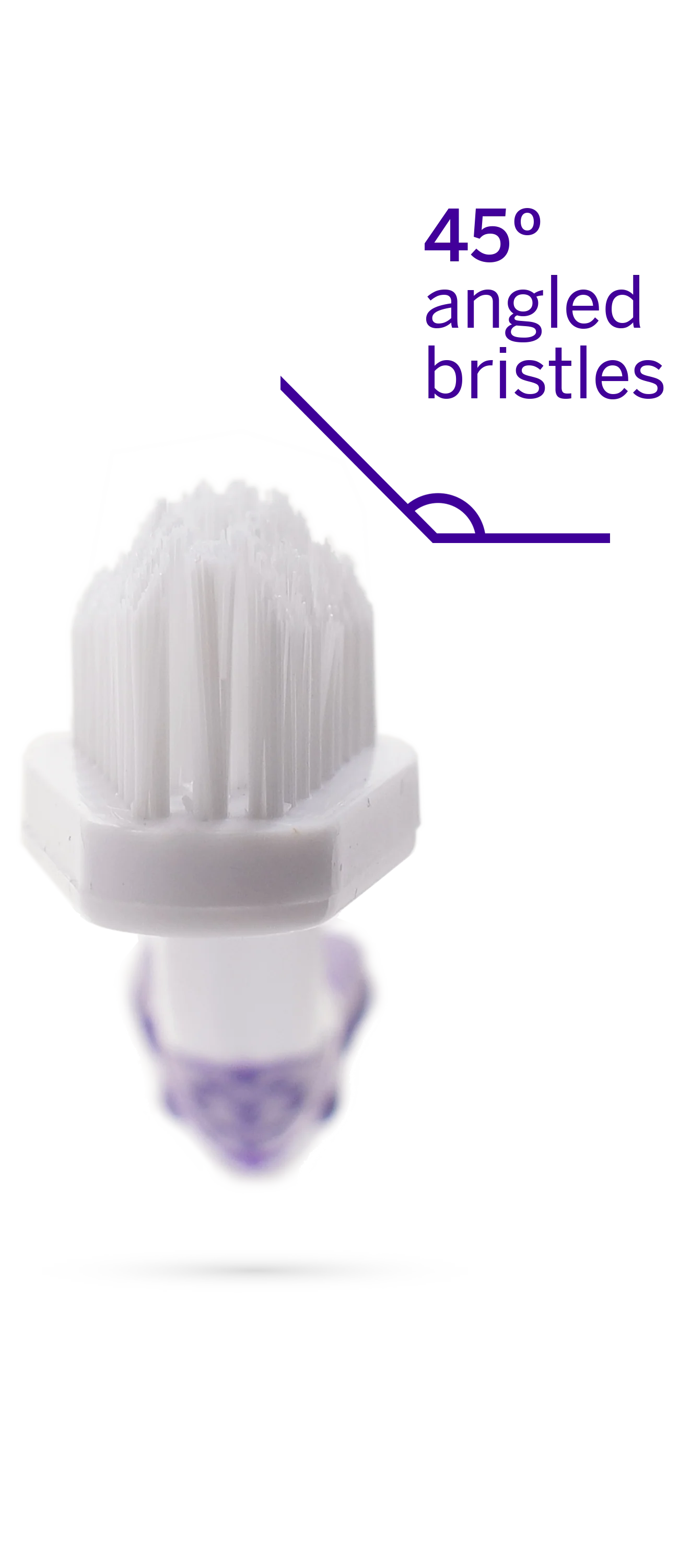 Professional Toothpaste Rotisserie Chicken Large & Professional Pet Toothbrush - Image 5