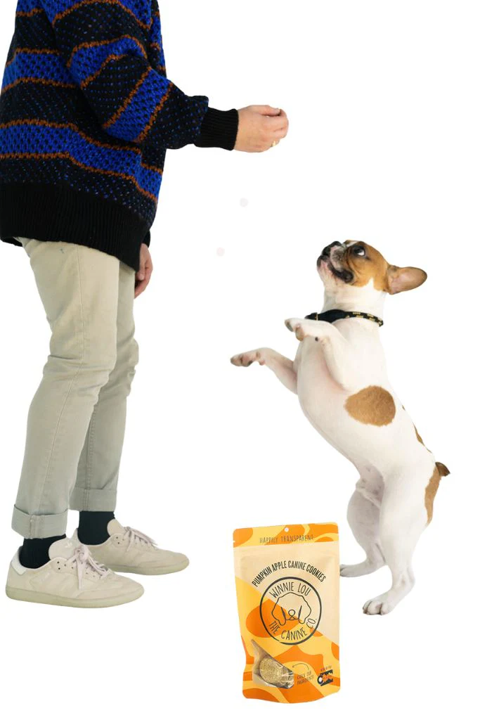 Pumpkin Apple Canine Cookie - Image 7