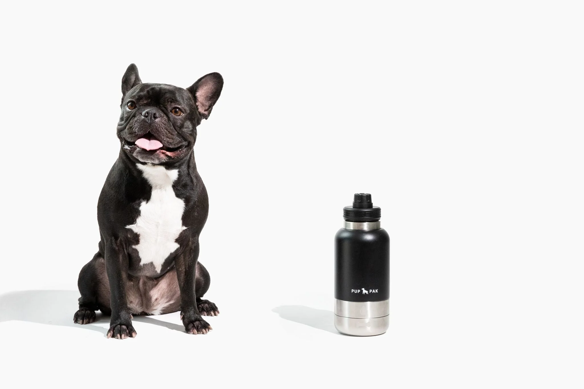 Pup Pak Dog Water Bottle with Detachable Bowls - Image 20