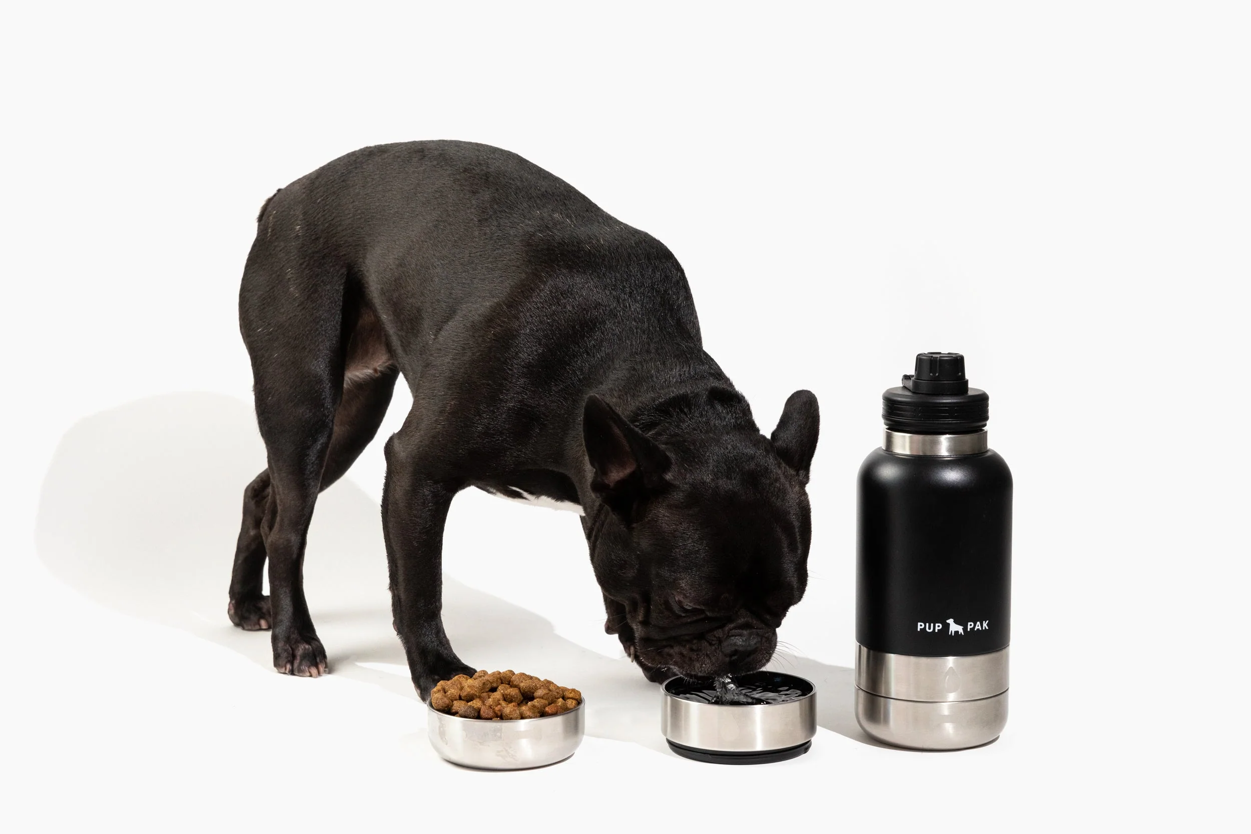 Pup Pak Dog Water Bottle with Detachable Bowls - Image 3