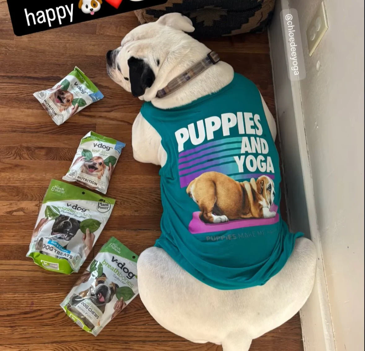 Puppies & Yoga OG Sleeveless Tank Top | Gift for Dog Moms - Image 4