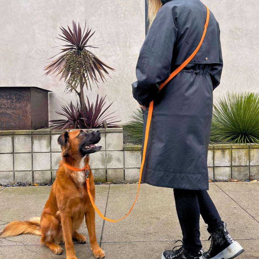 Tilley + Me PVC Dog Collar - All Weather Waterproof Durable & Odor-Resistant - Image 4