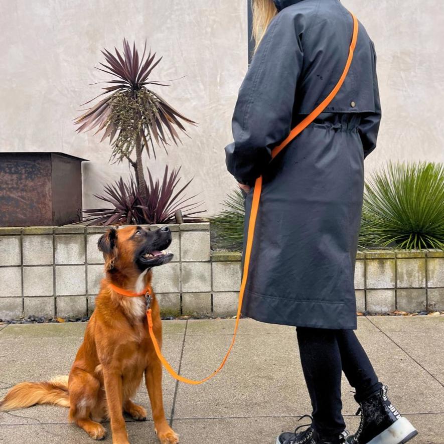 Tilley + Me PVC Handsfree Dog Leash - All Weather Waterproof Durable & Odor-Resistant - Image 3