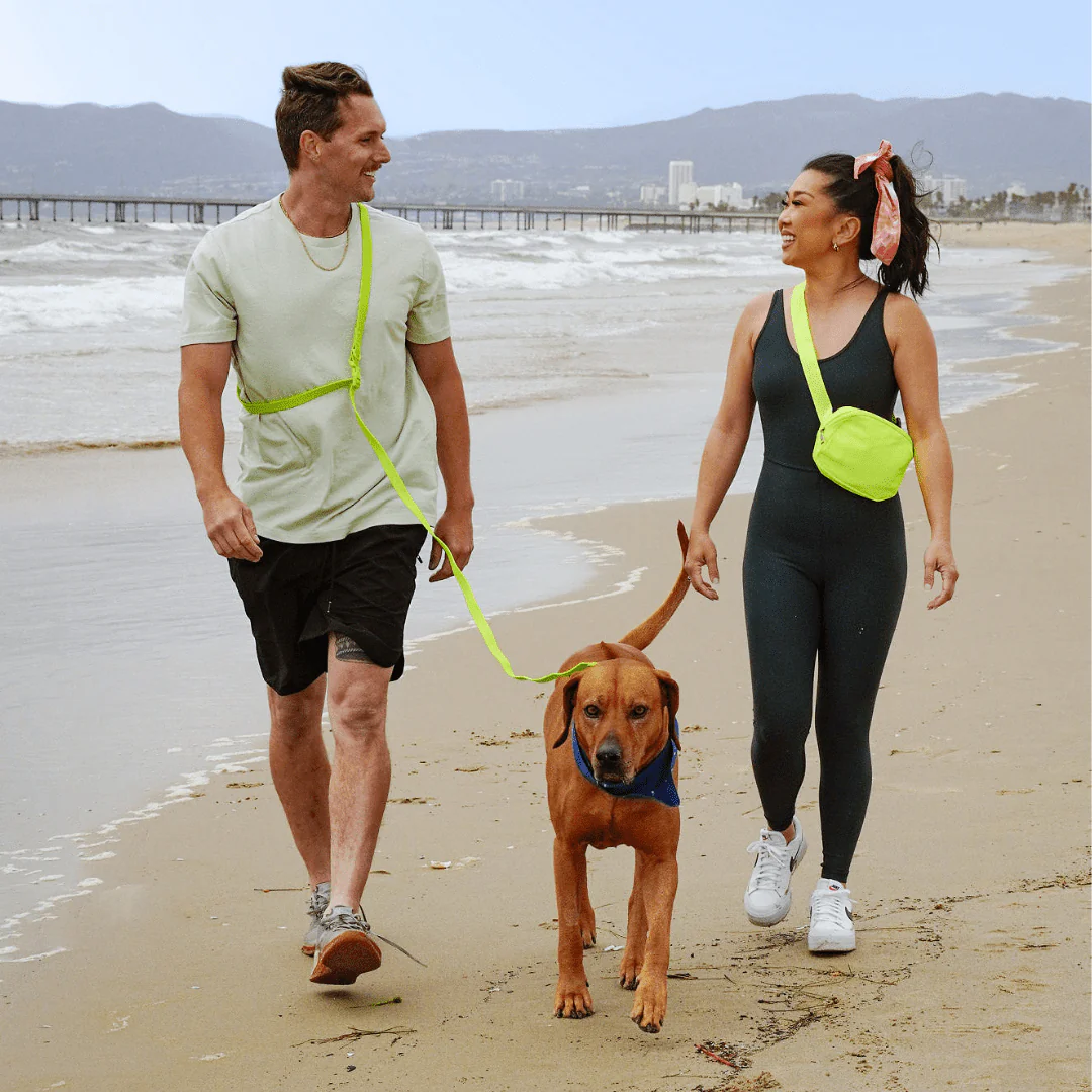 Tilley + Me PVC Handsfree Dog Leash - All Weather Waterproof Durable & Odor-Resistant - Image 9