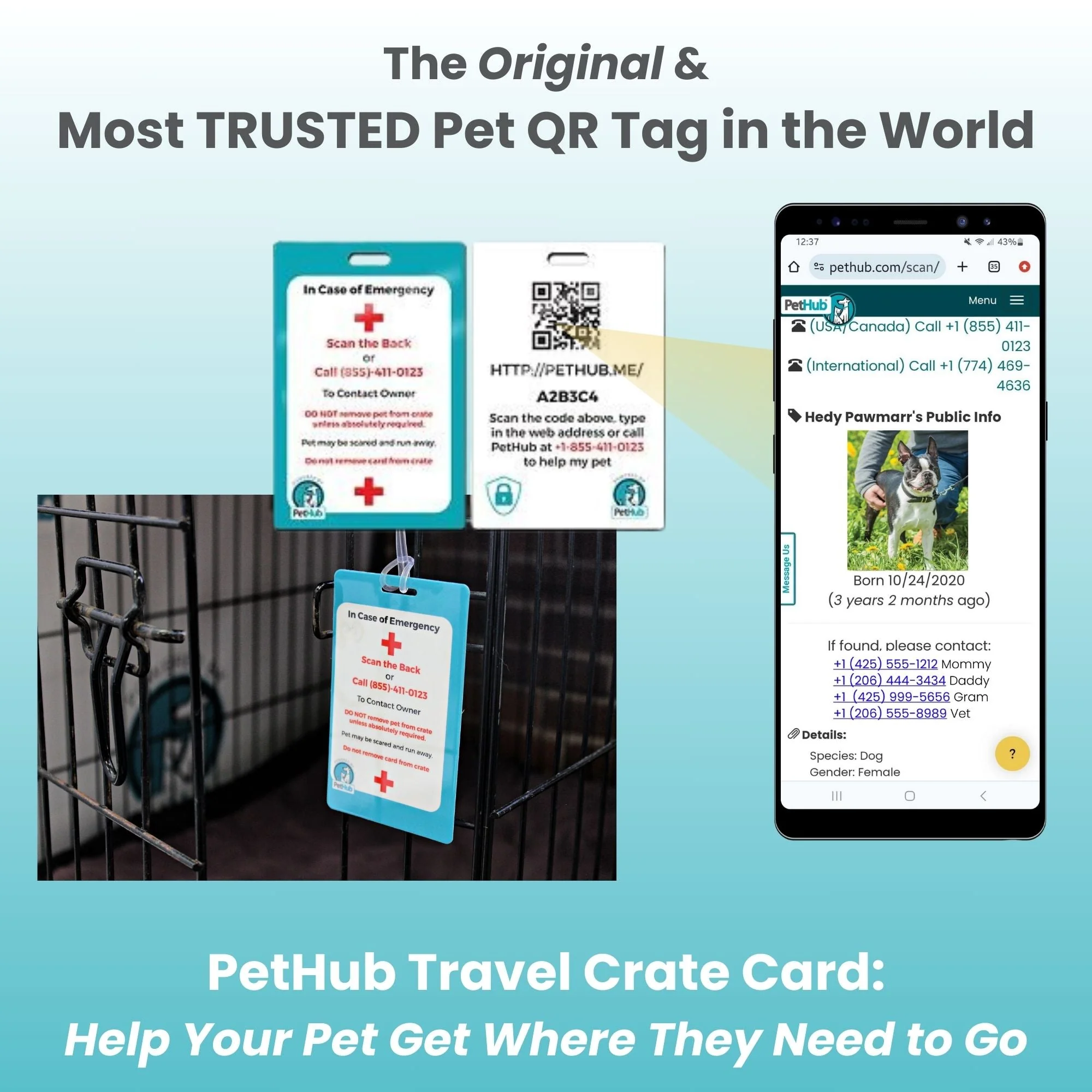 QR Pet Comprehensive Identification: Mini ReadyKit - Image 5