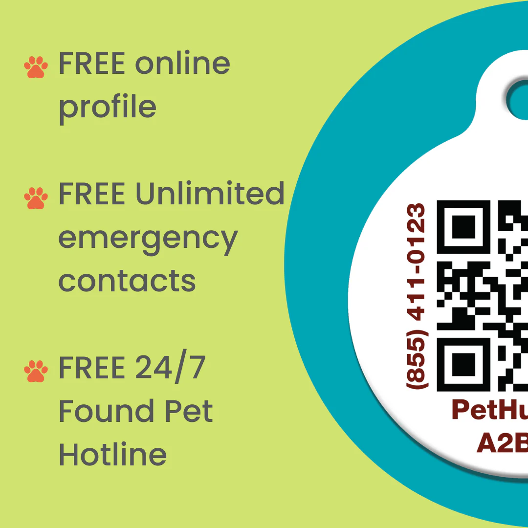QR Pet Identification: Travel Crate Card - Image 2