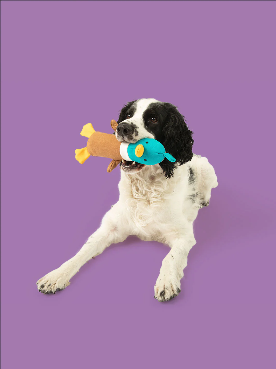 Quackers Plush - Image 3