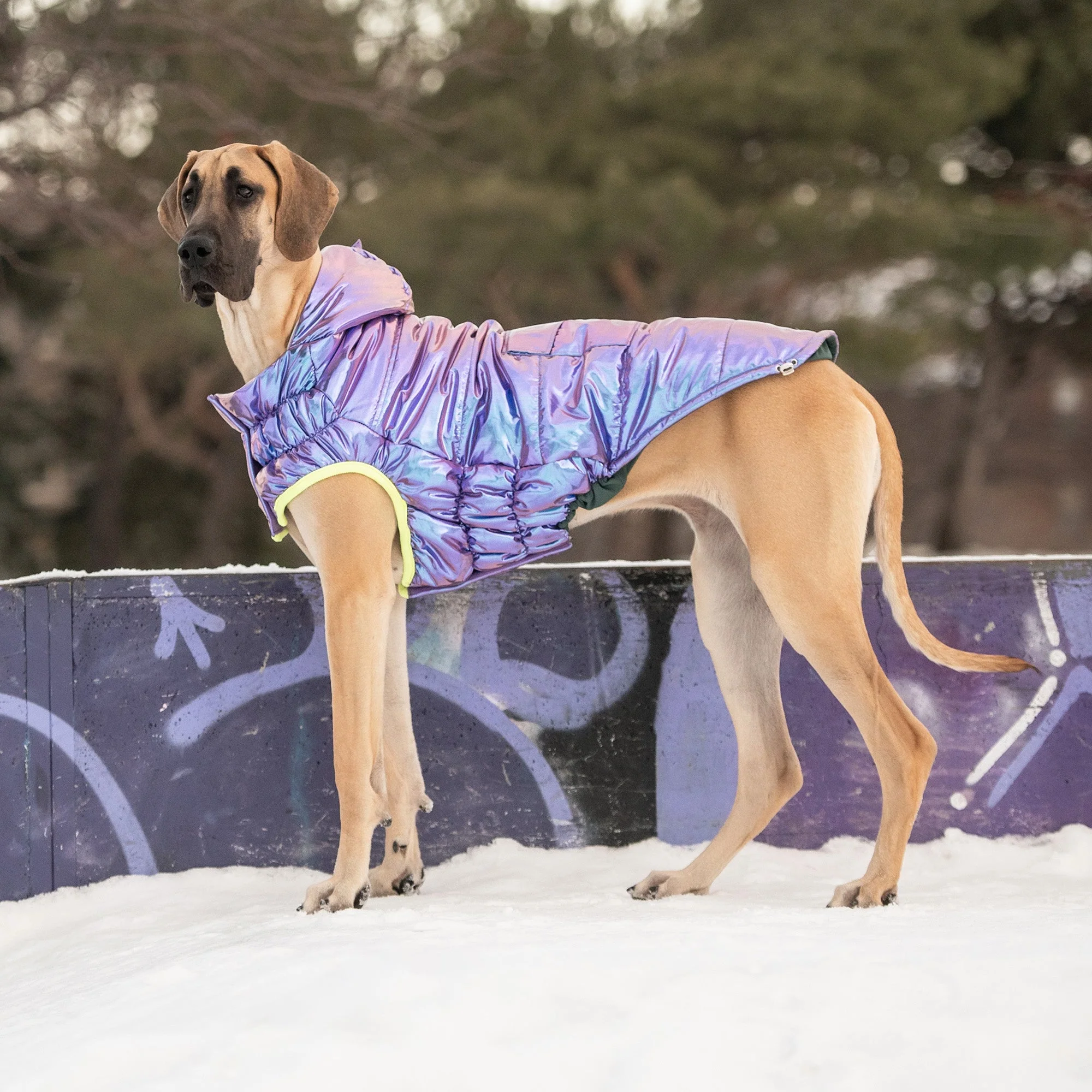 Recycled Parka - Iridescent - Image 5
