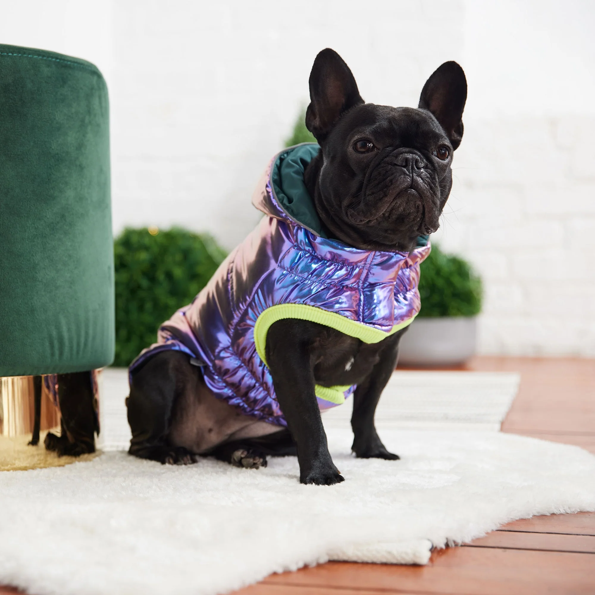 Recycled Parka - Iridescent - Image 6