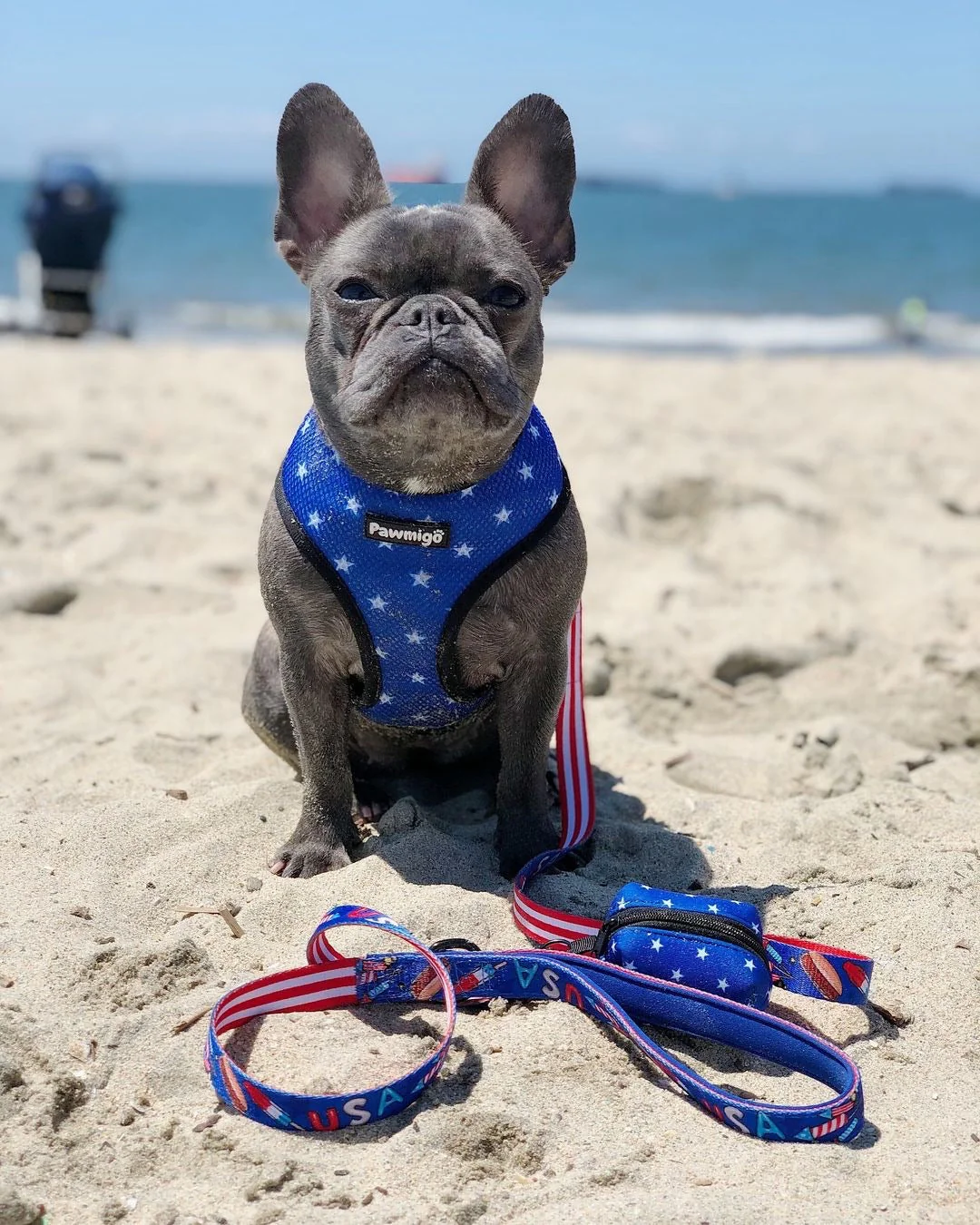 Red, White & Bark Reversible Harness - Image 5