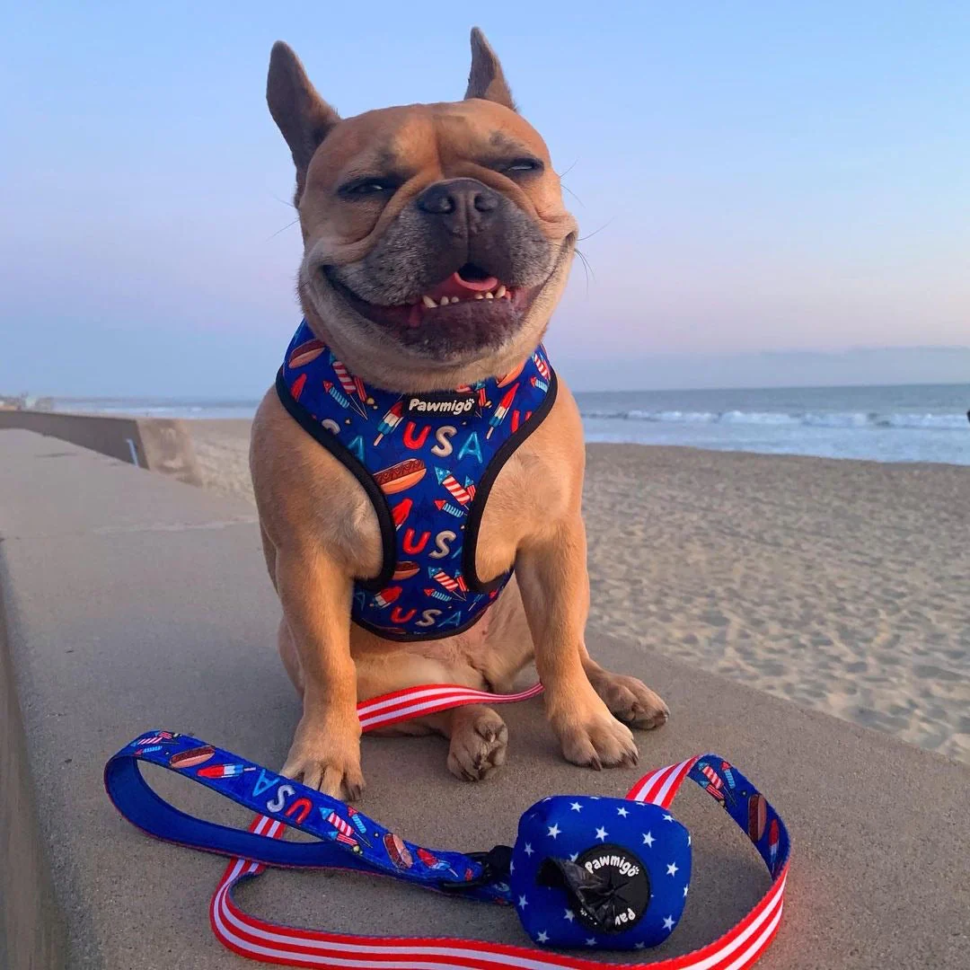 Red, White & Bark Reversible Harness - Image 6