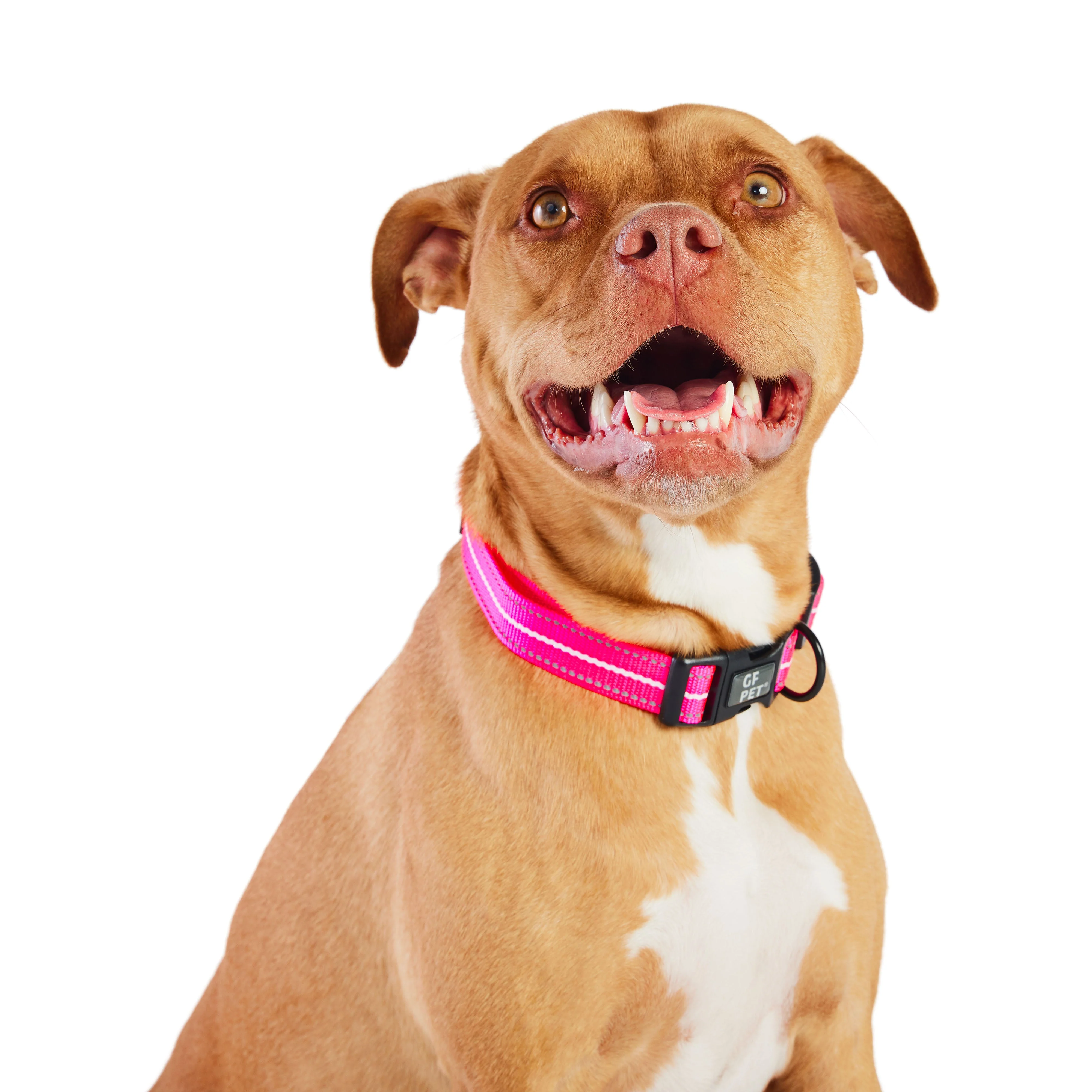 Reflective Collar - Neon Pink - Image 2