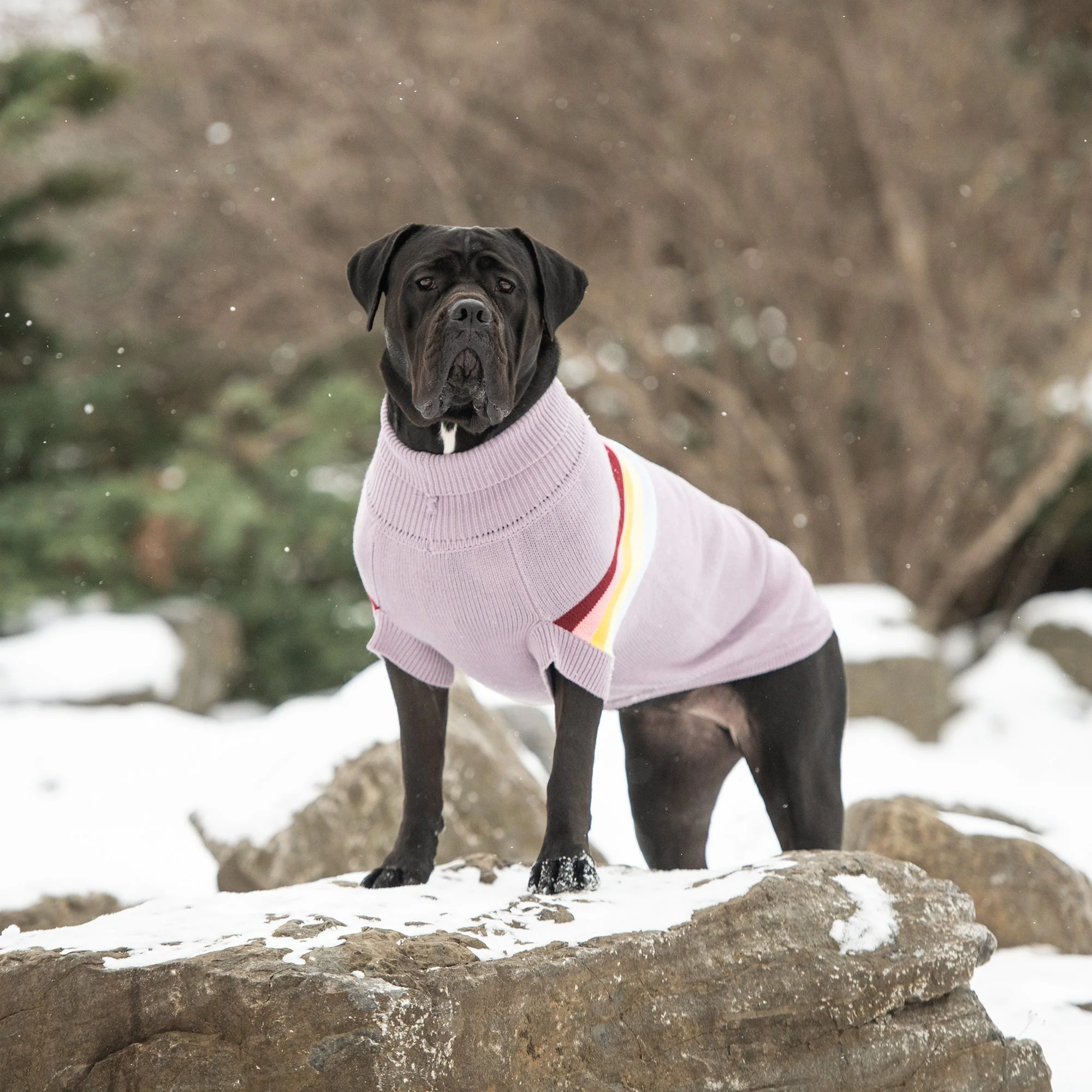 Retro Sweater - Lavender - Image 5