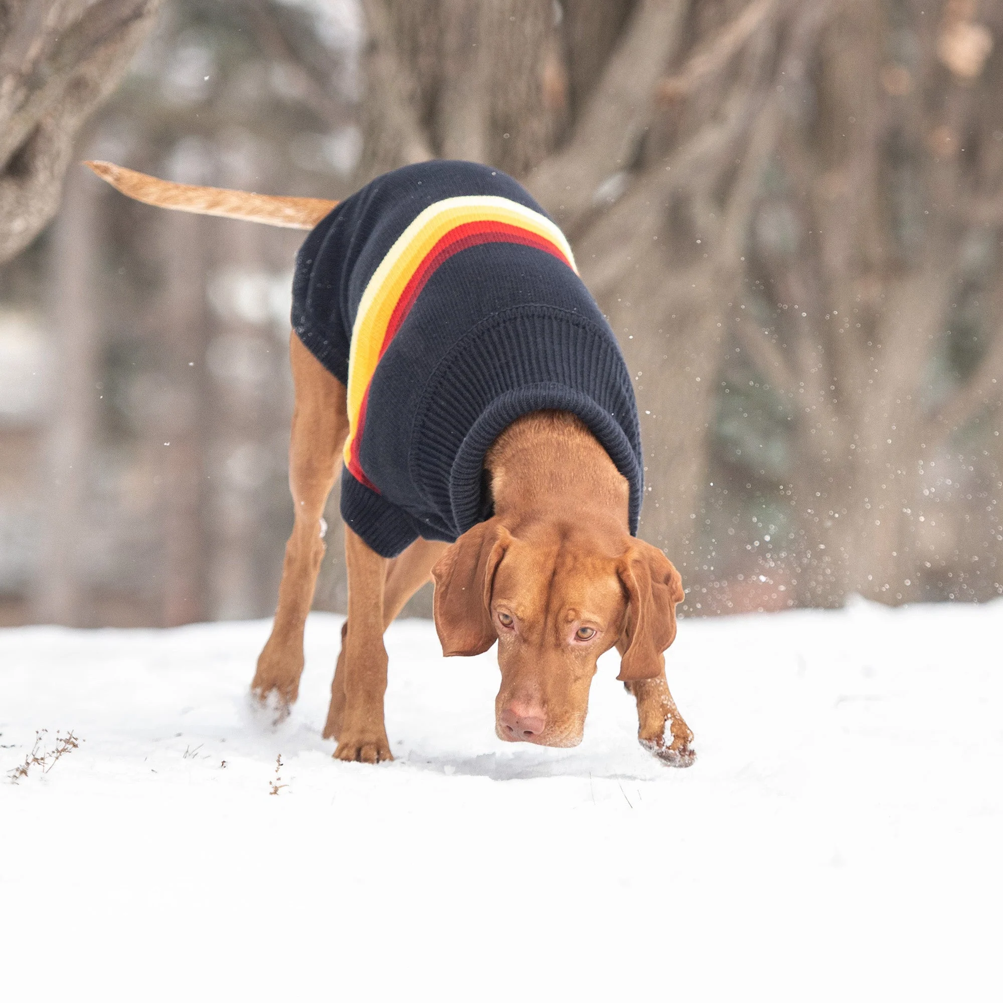 Retro Sweater - Navy - Image 5