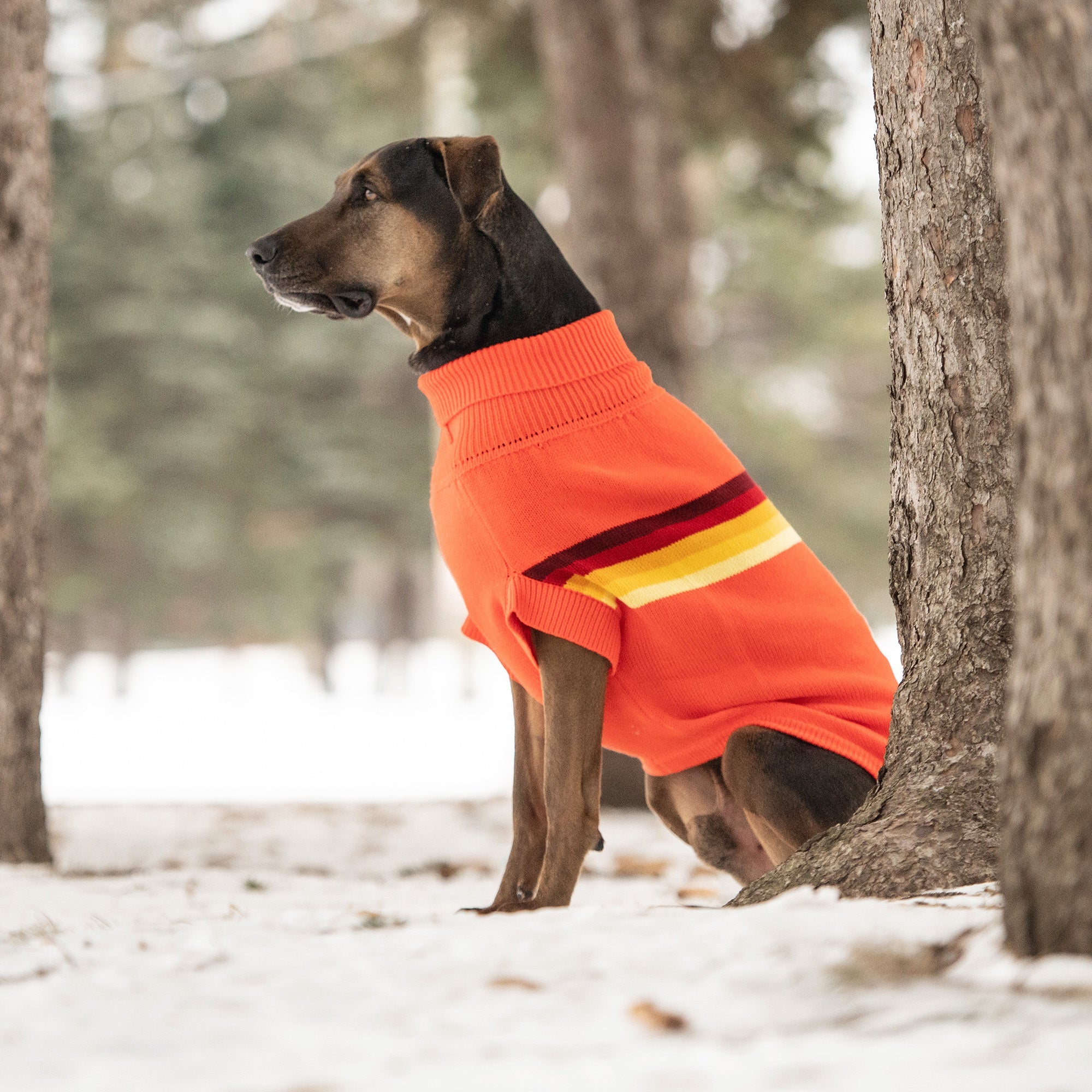 Retro Sweater - Orange - Image 5