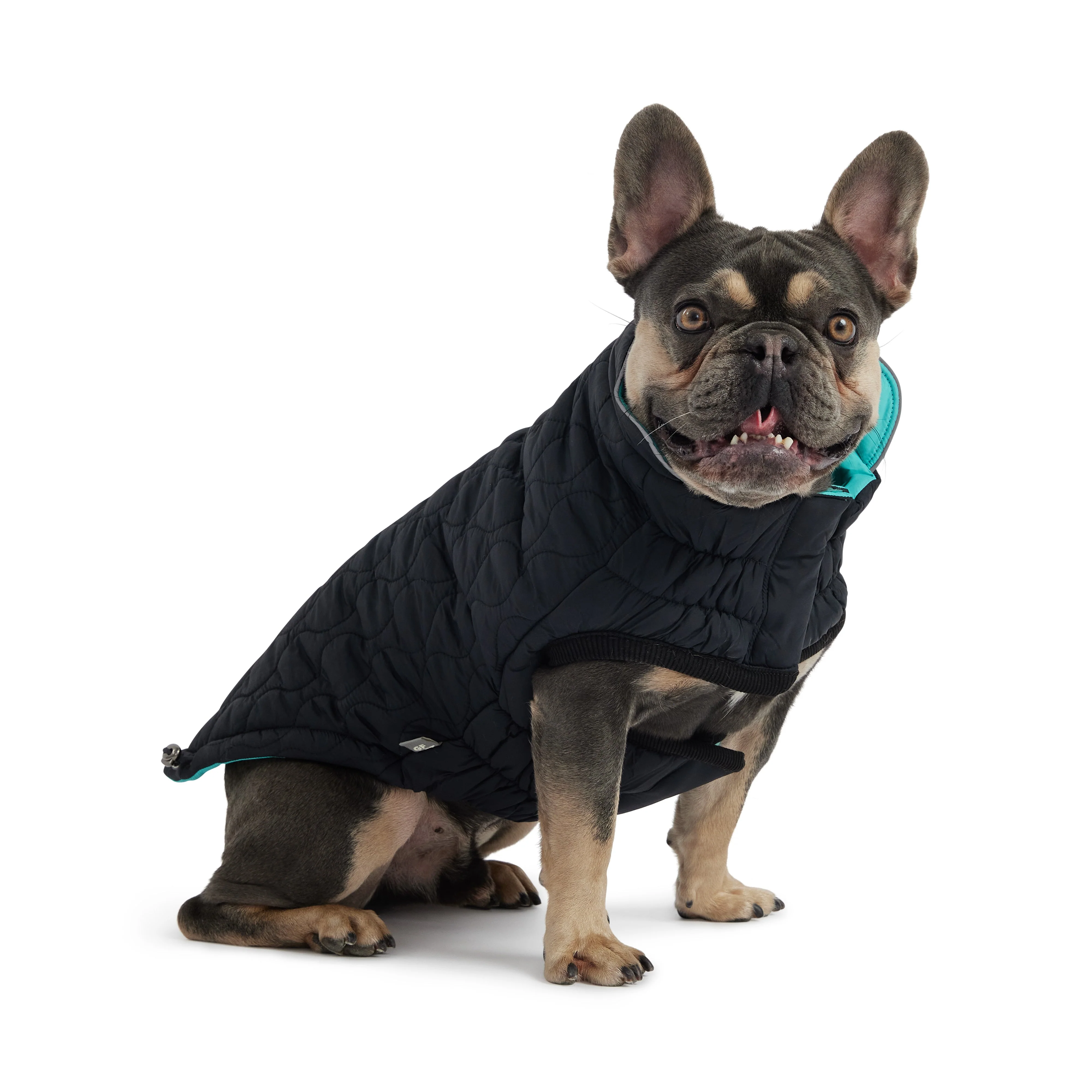 Reversible Chalet Jacket - Black/Aqua - Image 2
