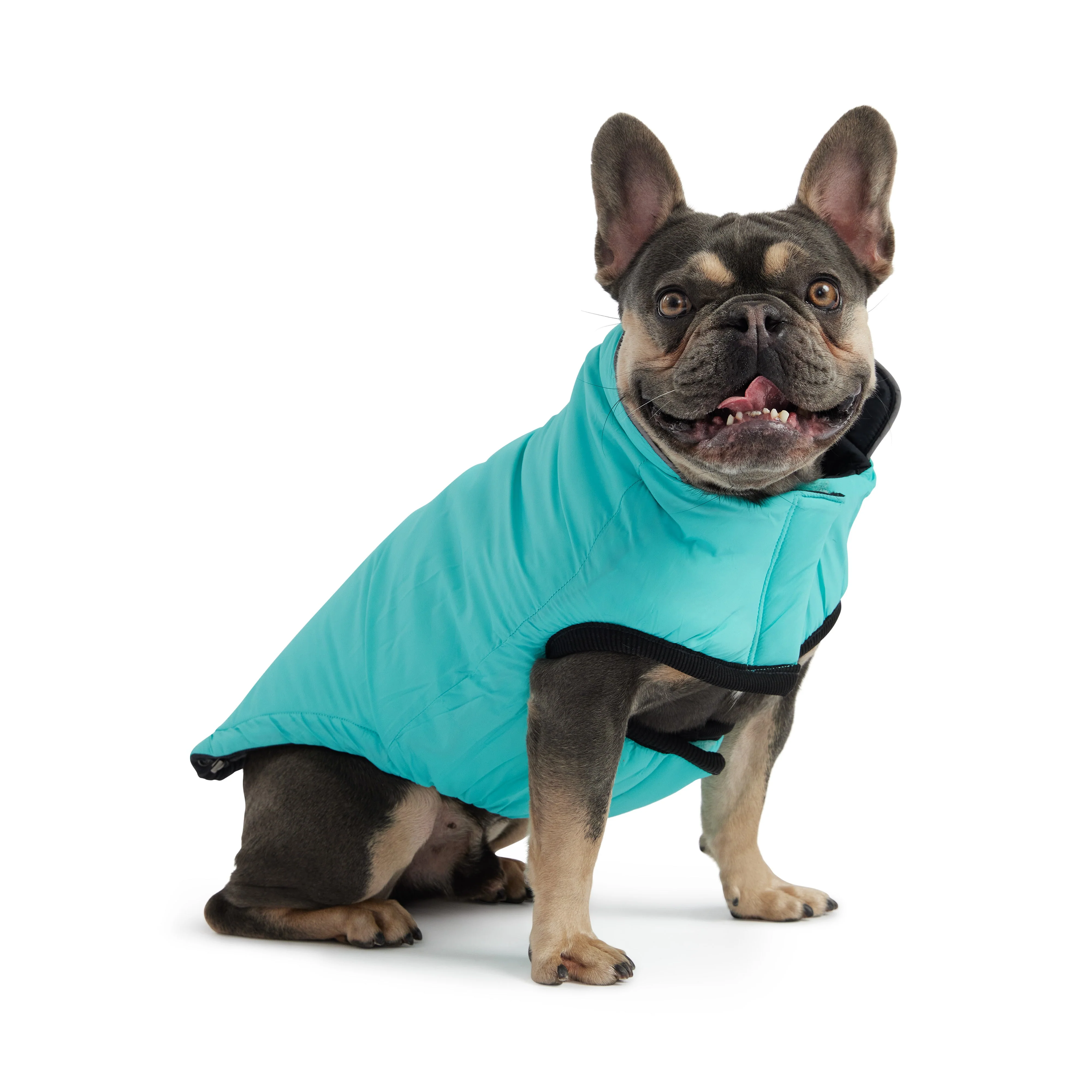Reversible Chalet Jacket - Black/Aqua - Image 3