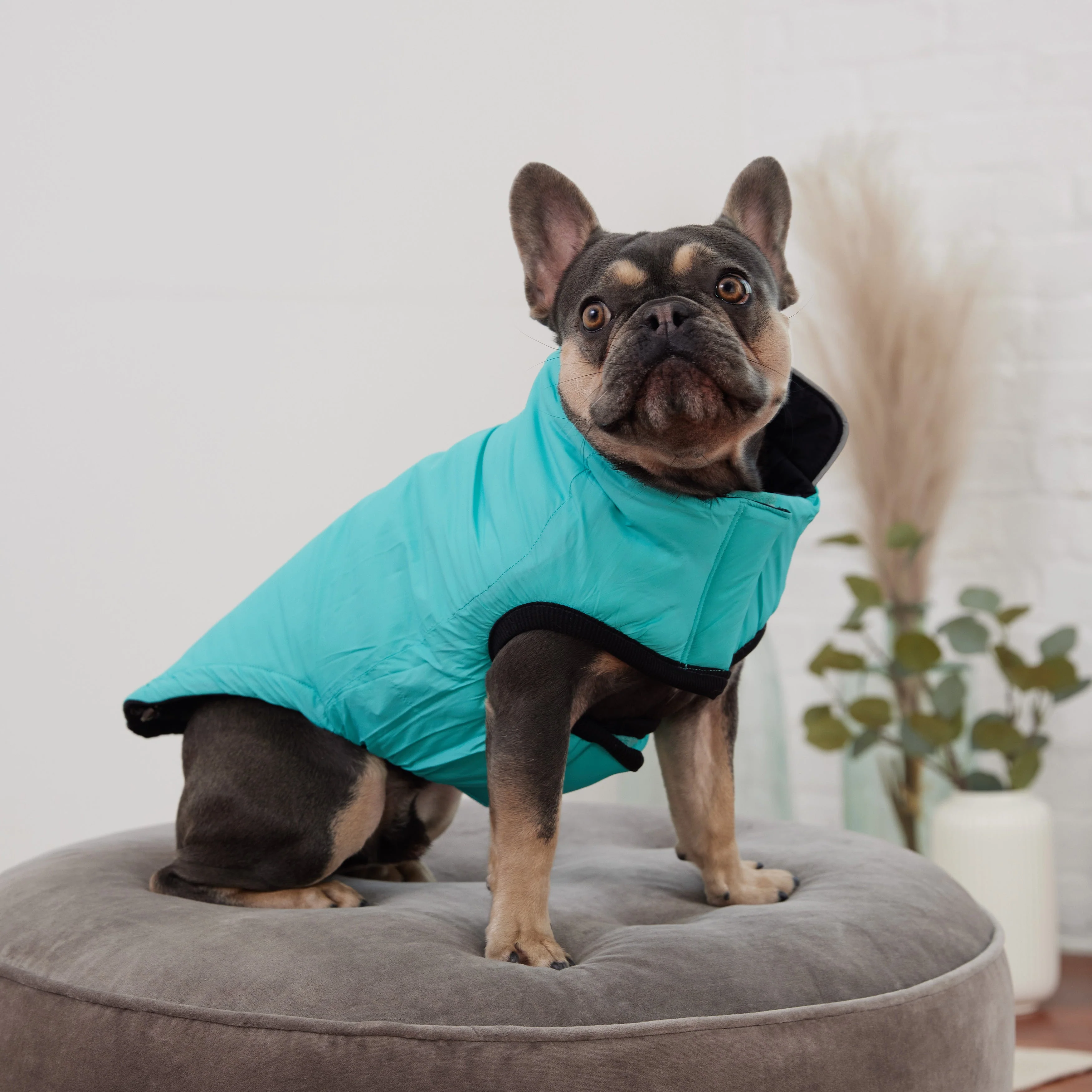 Reversible Chalet Jacket - Black/Aqua - Image 7