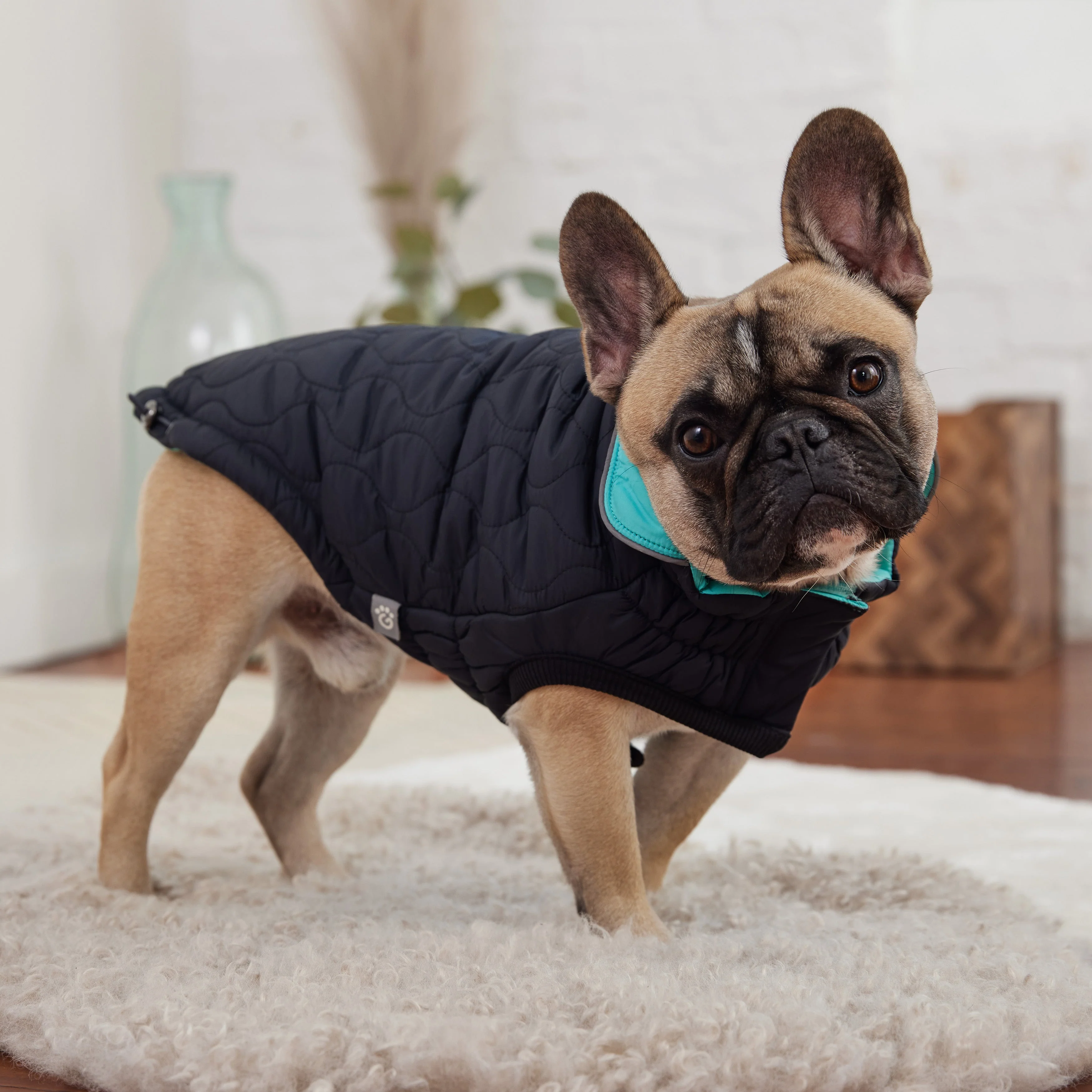 Reversible Chalet Jacket - Black/Aqua - Image 8