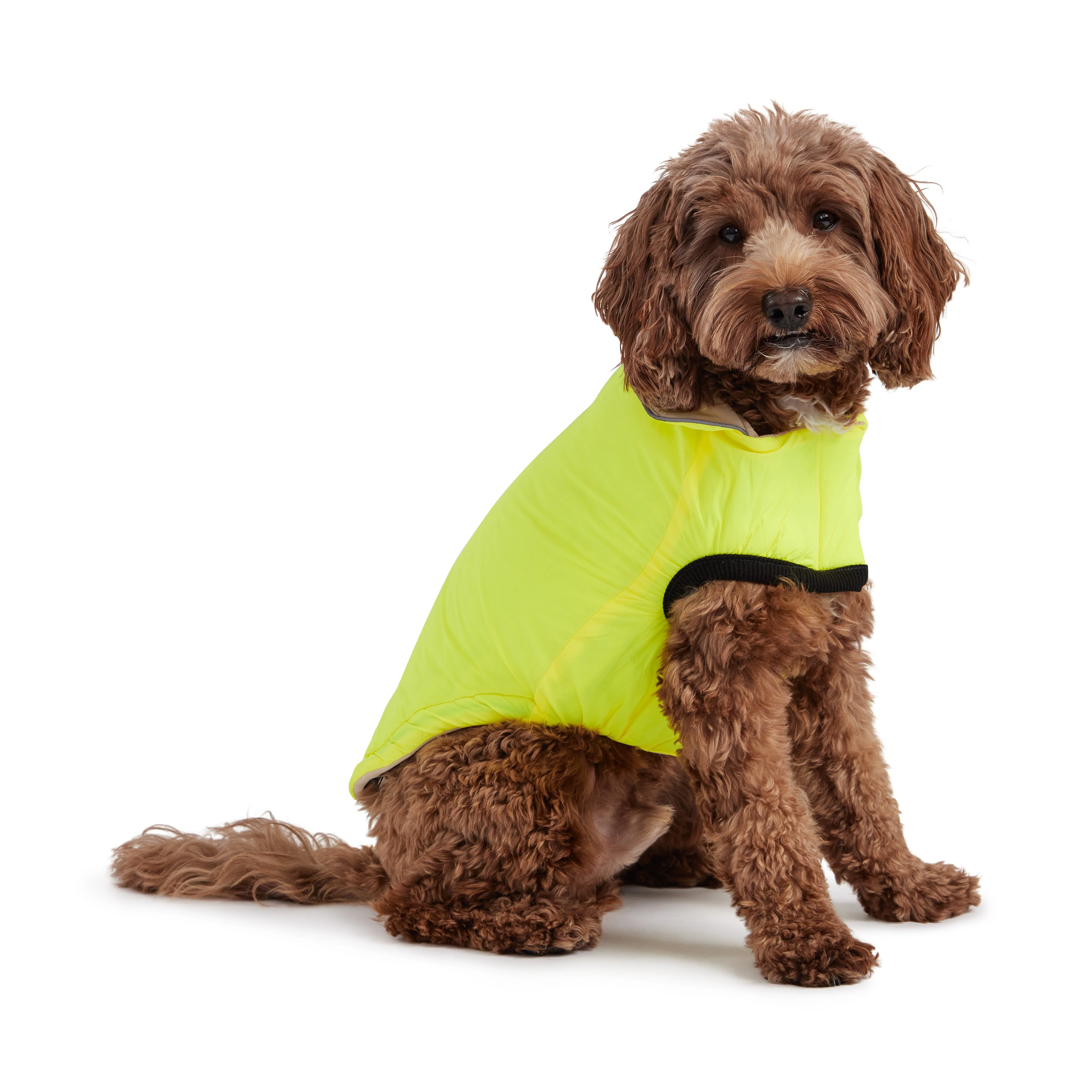 Reversible Chalet Jacket - Sand/Yellow - Image 3