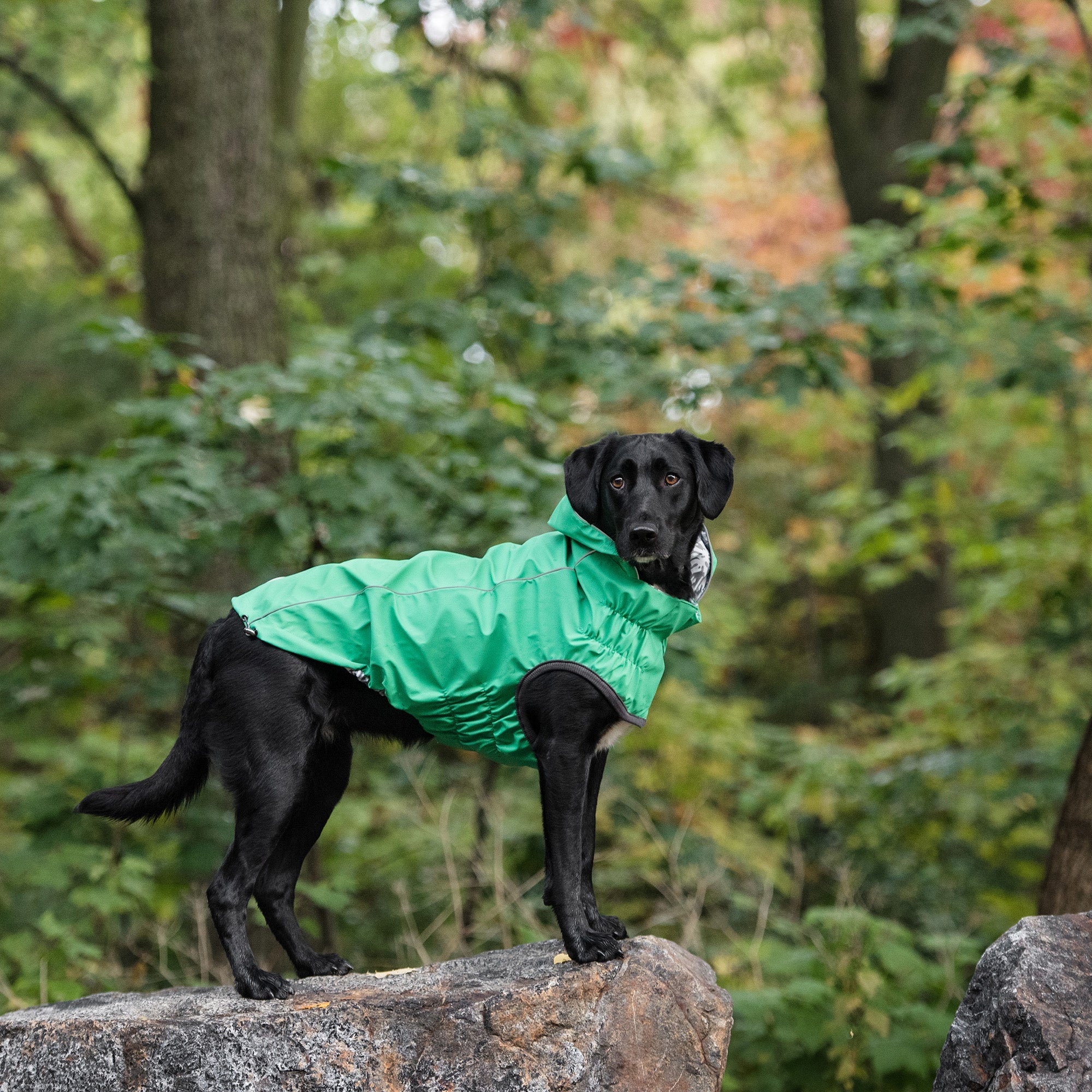 Reversible Elasto-Fit Raincoat - Green - Image 6