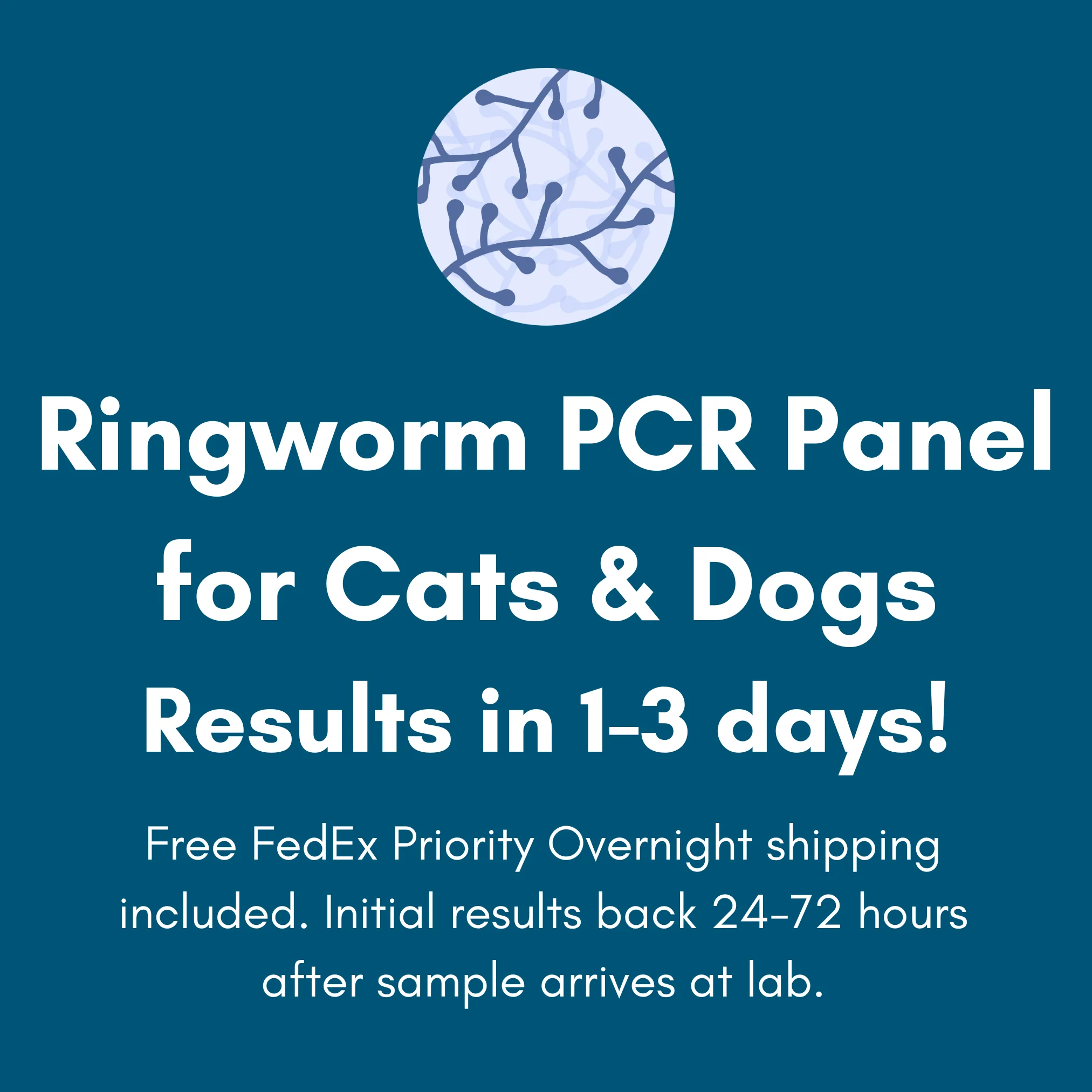 Ringworm PCR Test for Pets: At-Home Testing - Image 3