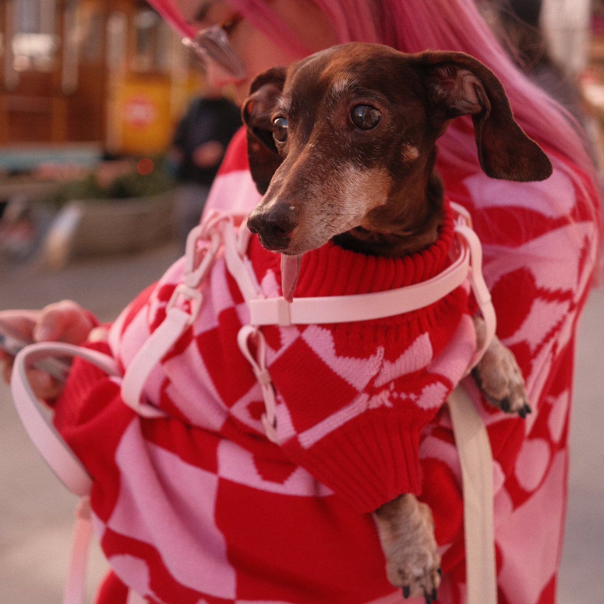 Roll Neck Dog Knitted Love Sweater - Image 10