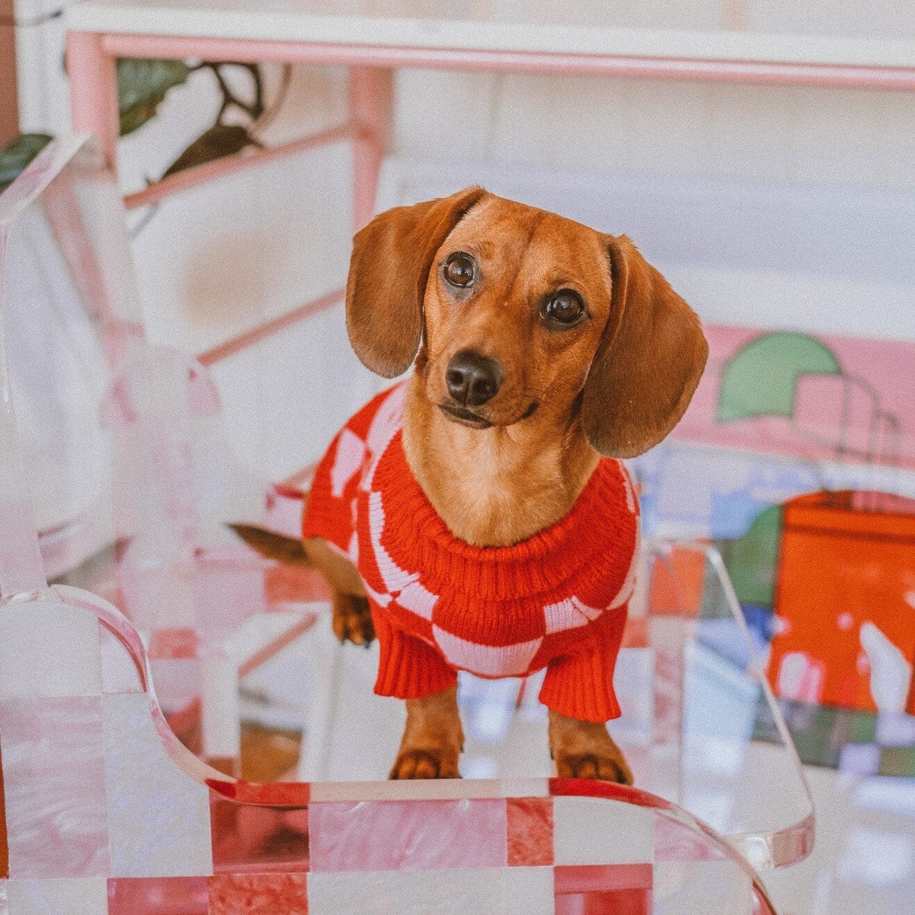 Roll Neck Dog Knitted Love Sweater - Image 2