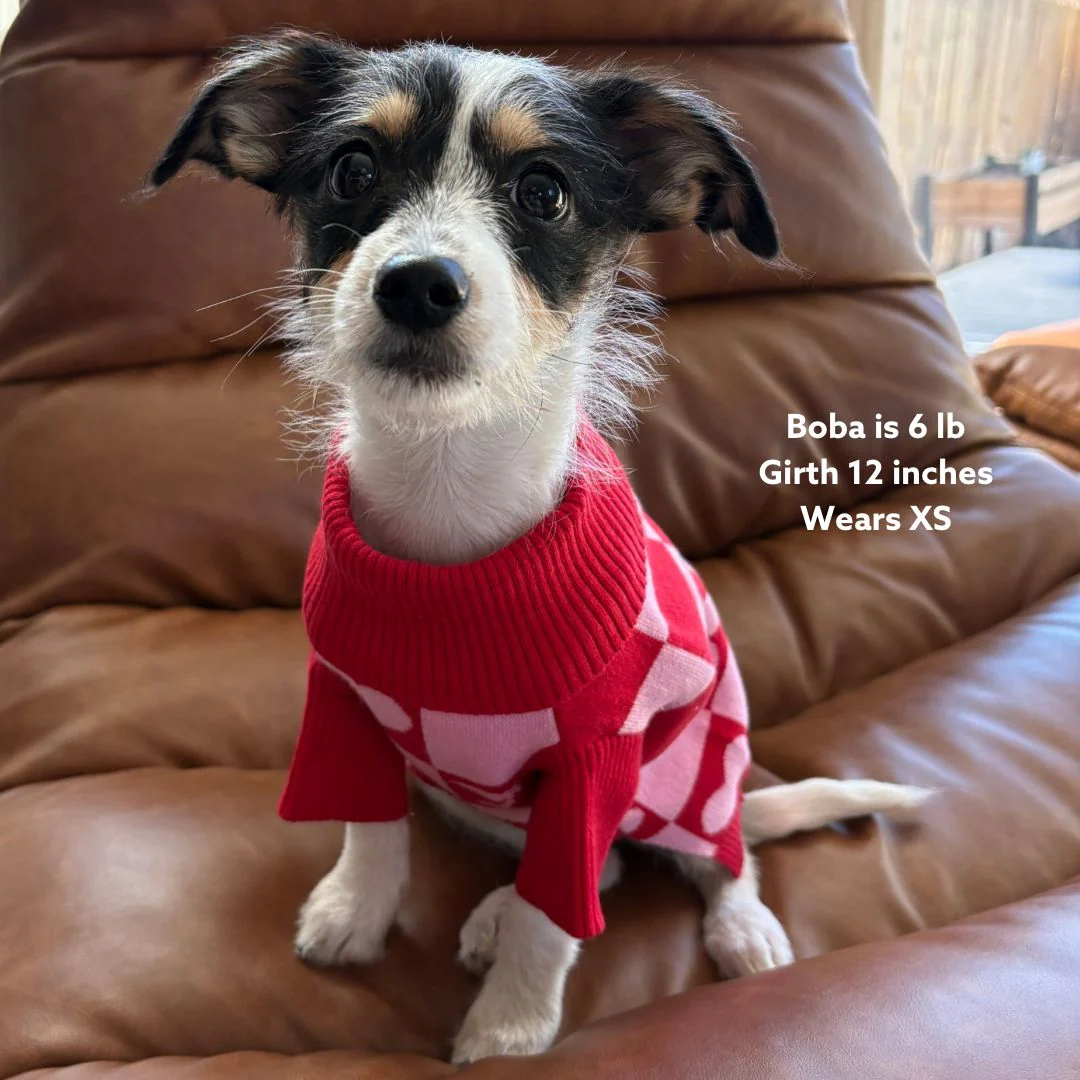 Roll Neck Dog Knitted Love Sweater - Image 6