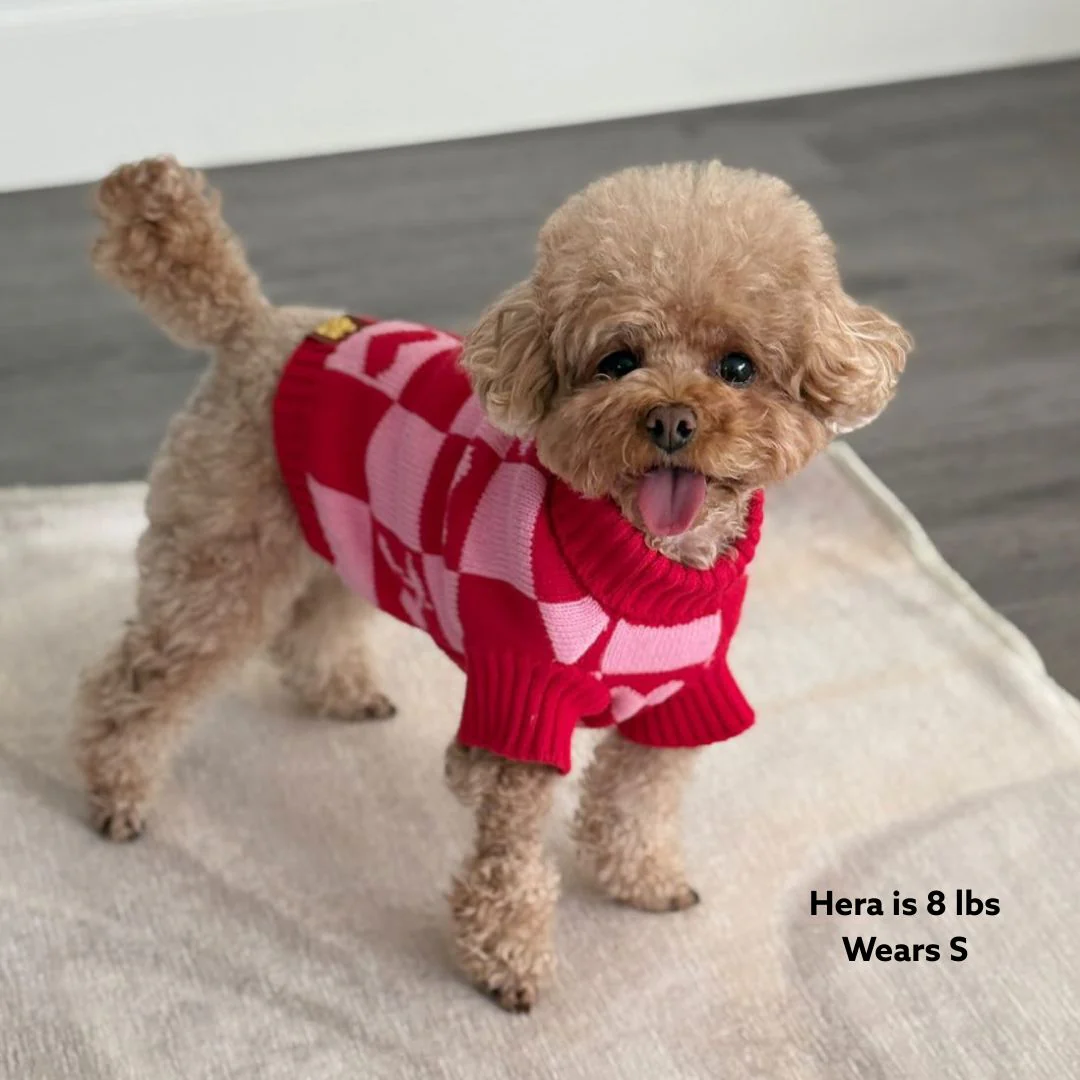 Roll Neck Dog Knitted Love Sweater - Image 7