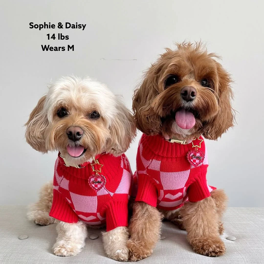 Roll Neck Dog Knitted Love Sweater - Image 8