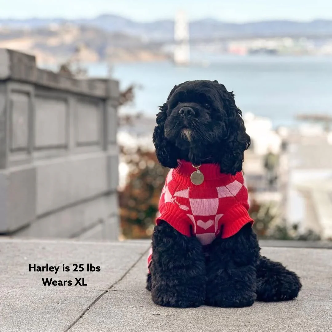 Roll Neck Dog Knitted Love Sweater - Image 9