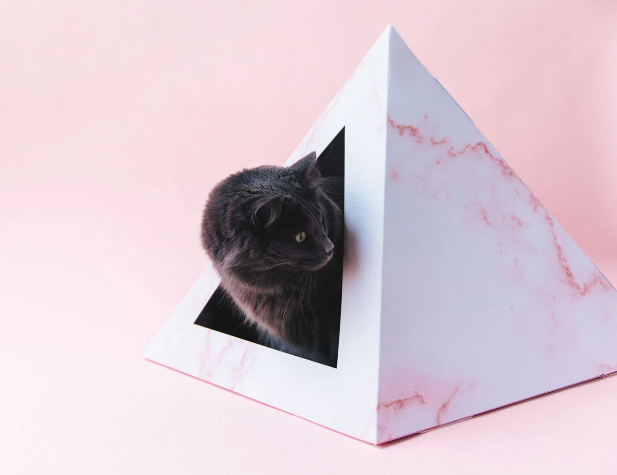 'Rose Quartz' Cardboard Cat Pyramid - Image 4