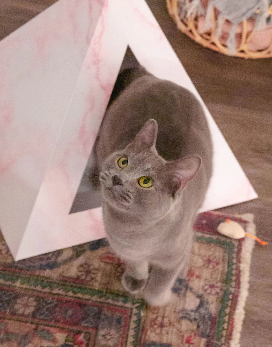 'Rose Quartz' Cardboard Cat Pyramid - Image 5