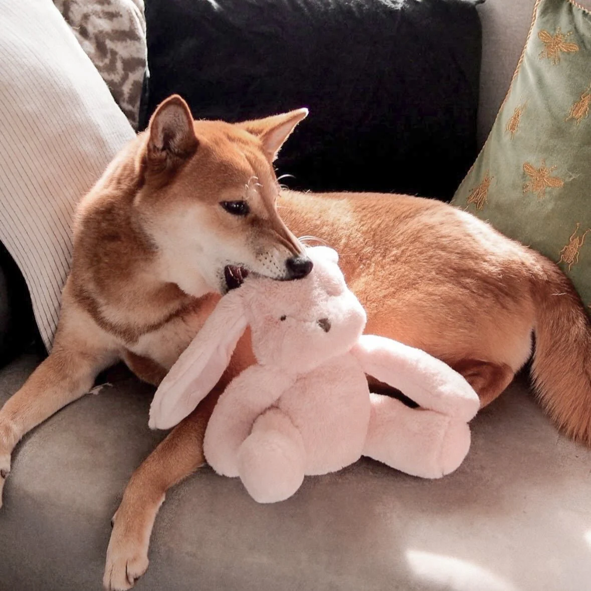 Ruby Plushie Set - Image 5