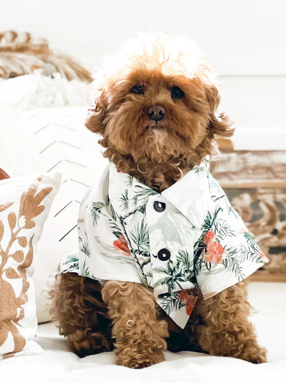 Sail Away BBQ Shirt (Dog & Kid Sizes Only) - Image 3