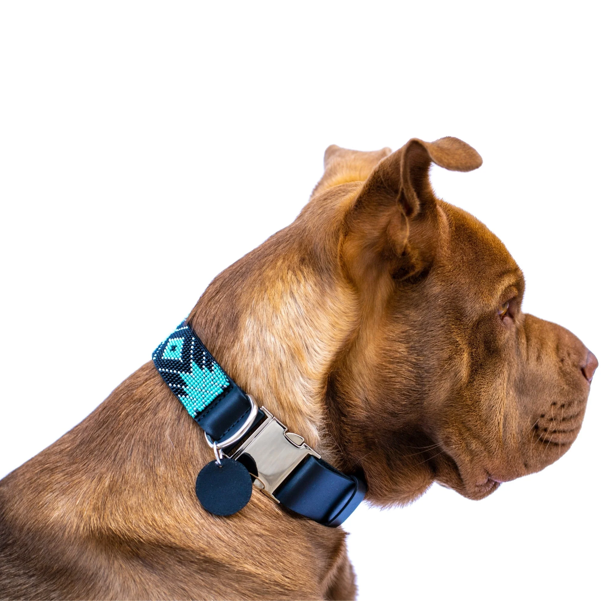 Saint Barth dog collar (quick release) - Image 4