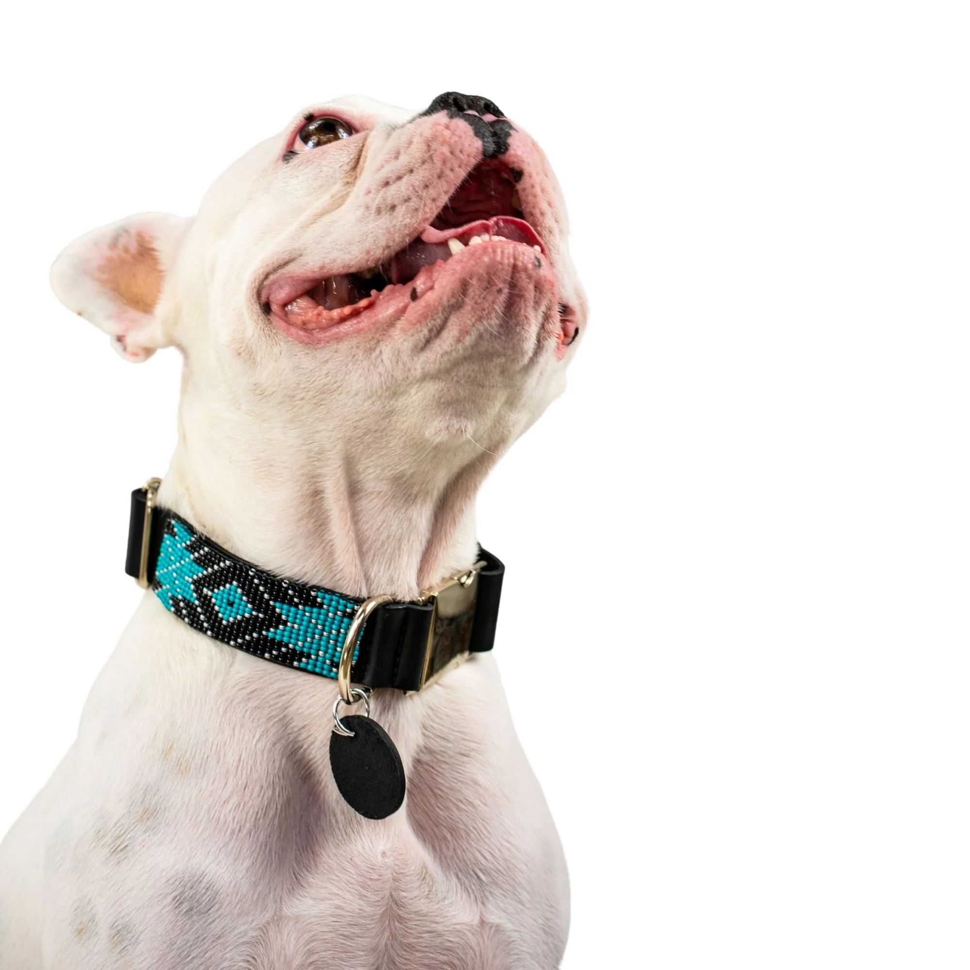 Saint Barth dog collar (quick release) - Image 5