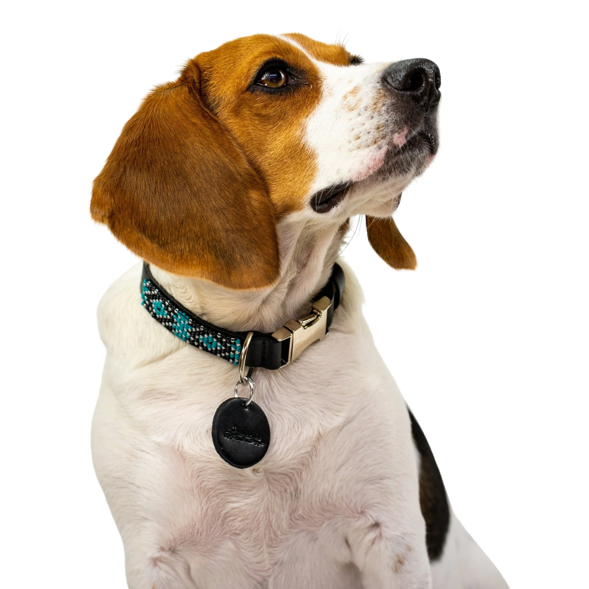 Saint Barth dog collar (quick release) - Image 6