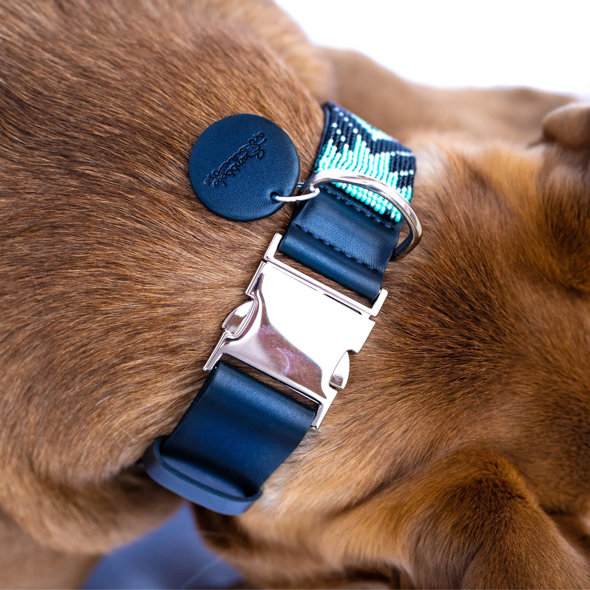 Saint Barth dog collar (quick release) - Image 7