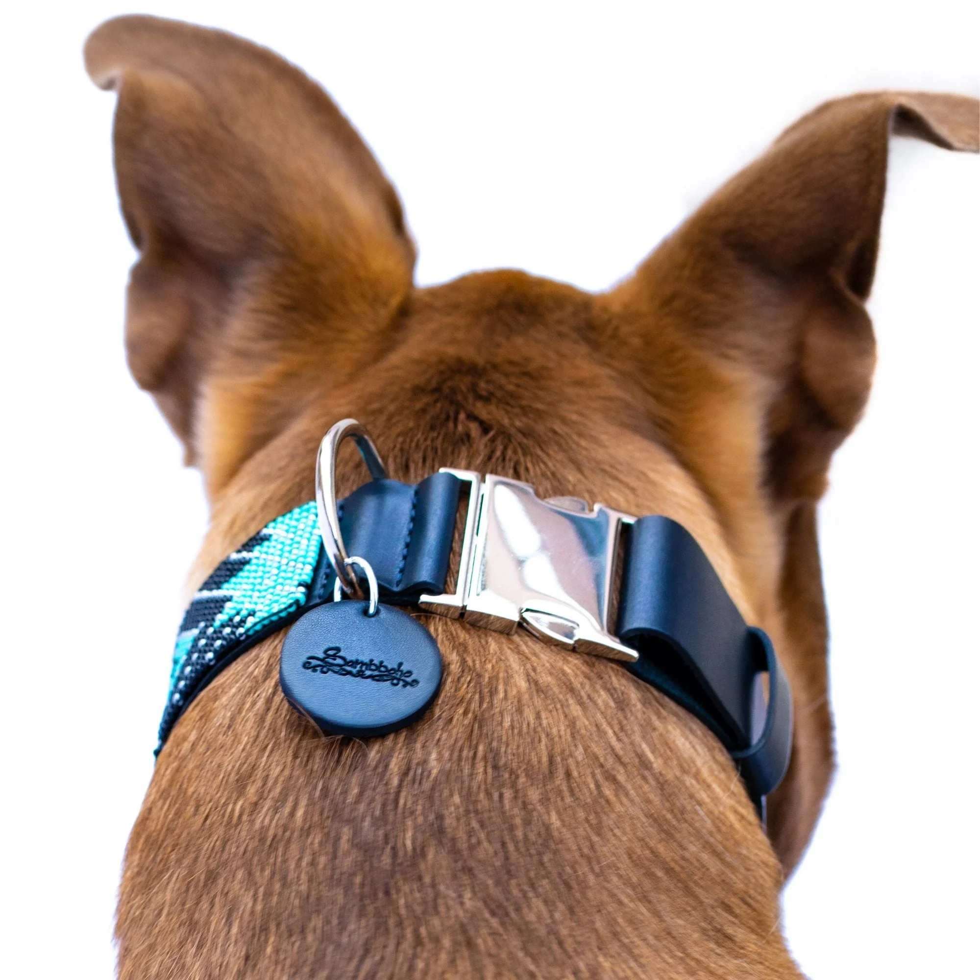 Saint Barth dog collar (quick release) - Image 8