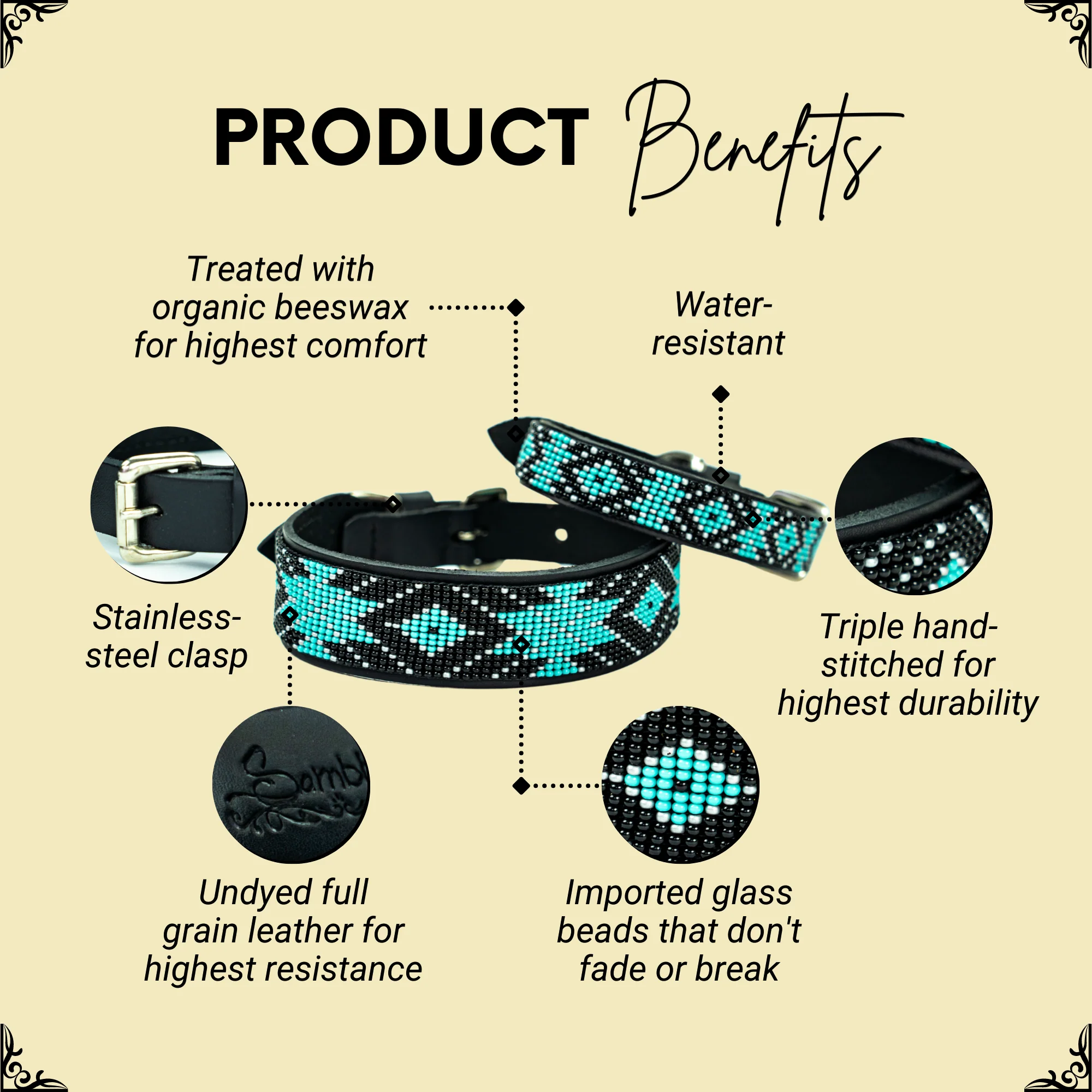 Saint Barth Sambboho dog collar (Deluxe Edition) - Image 2